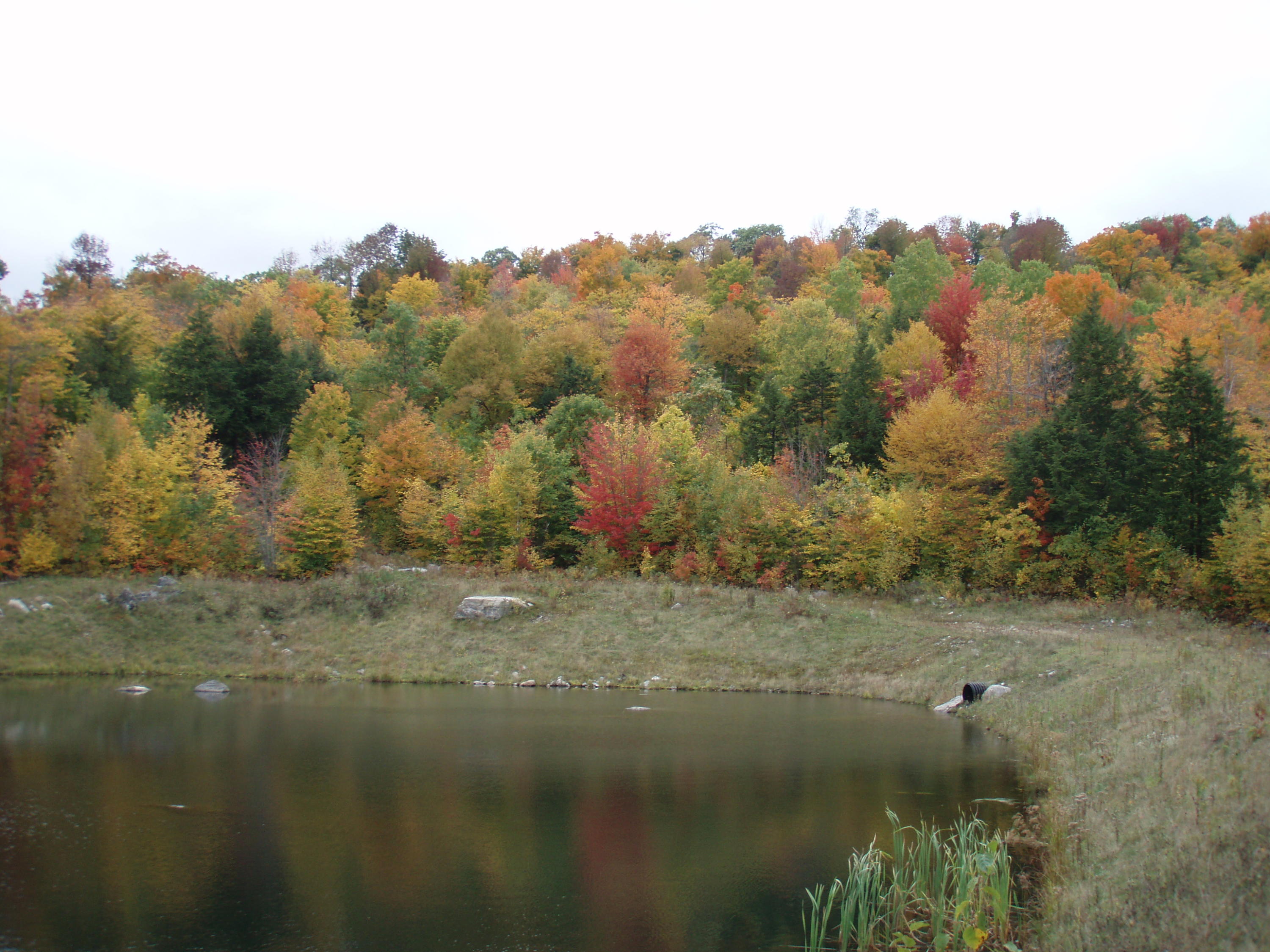 Lot 16 Keystone Drive, Newry, ME, 04261