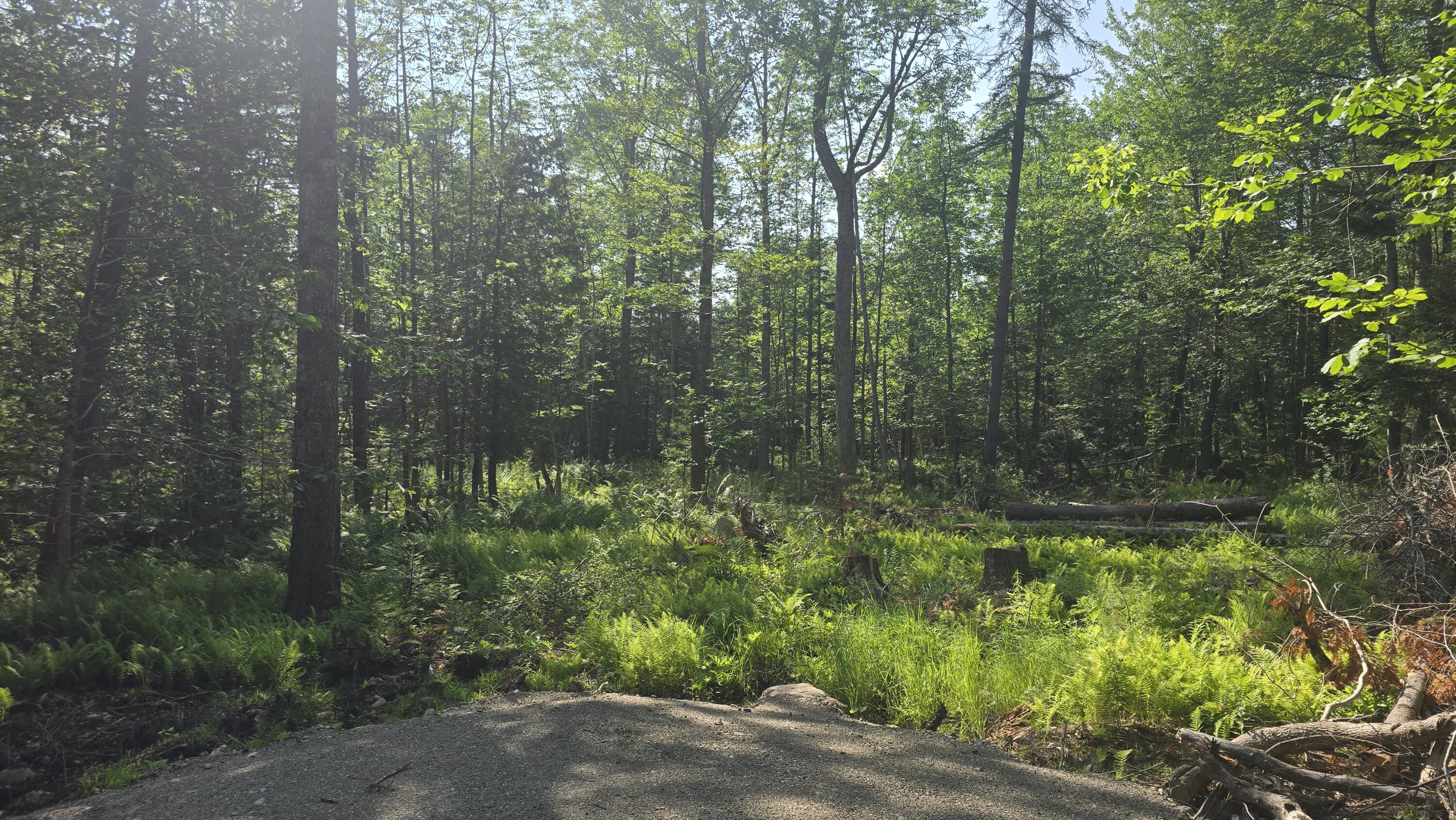 Lot 58 Camden Road, Lincolnville, ME, 04849