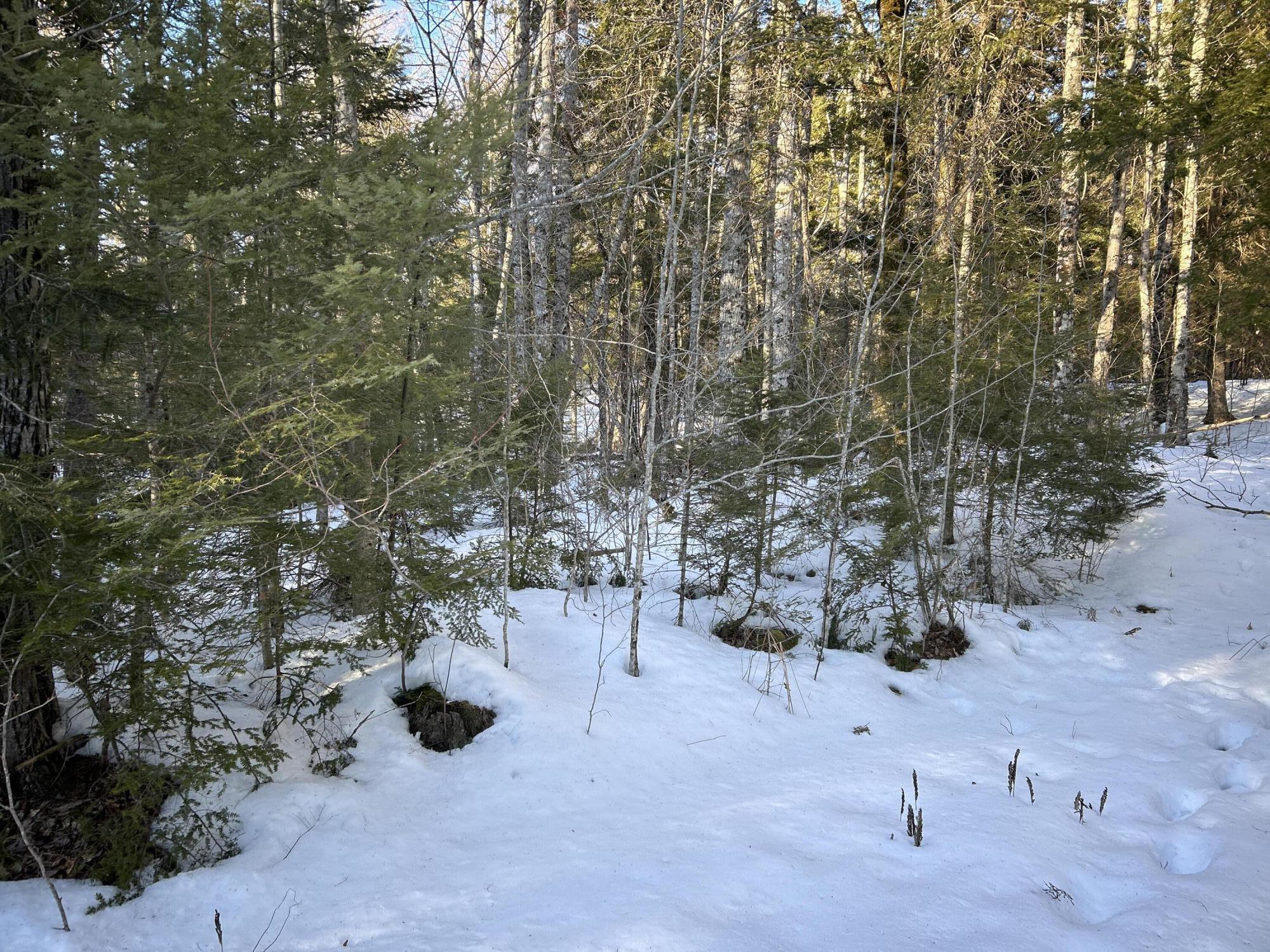 M7L22 Nelson Ridge Road N, Washington, ME, 04574