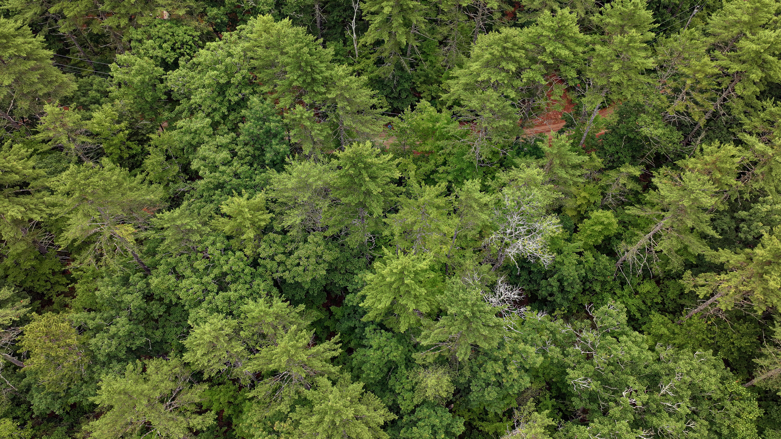 62-B Long Pond Drive, Denmark, ME, 04022