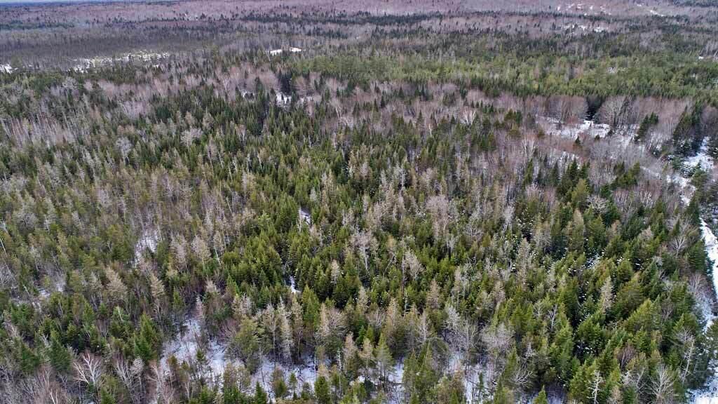 Lot 57 Fire Road, Linneus, ME, 04730