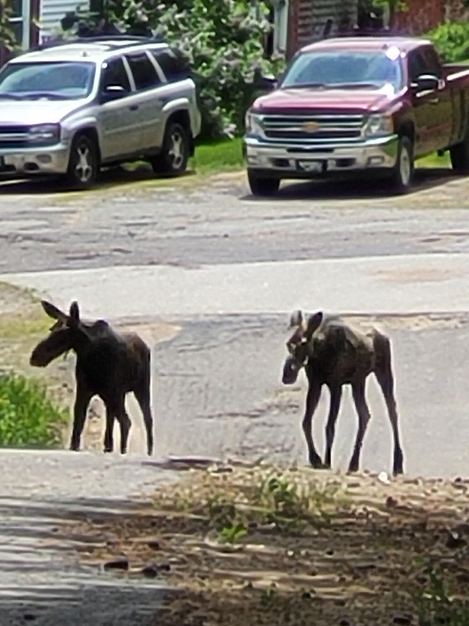 38 Kuvaja Road, Greenwood, ME, 04255