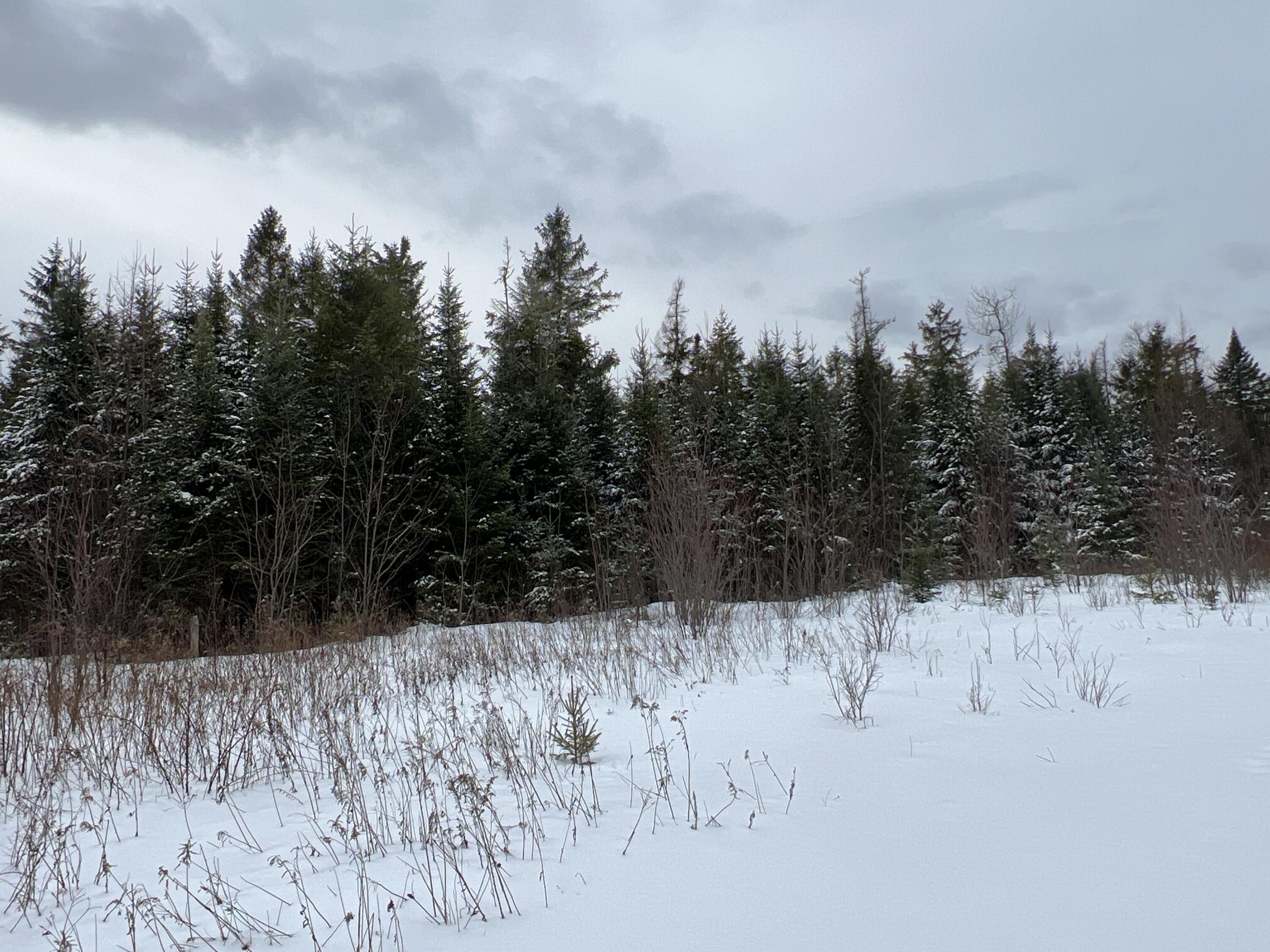 Lot 2-18 Shin Pond Road, Mount Chase, ME, 04765