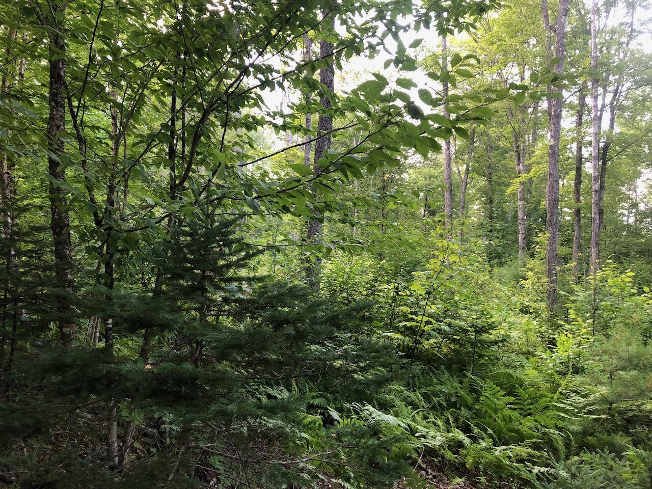 06 Swett Brook Lane, Weld, ME, 04285