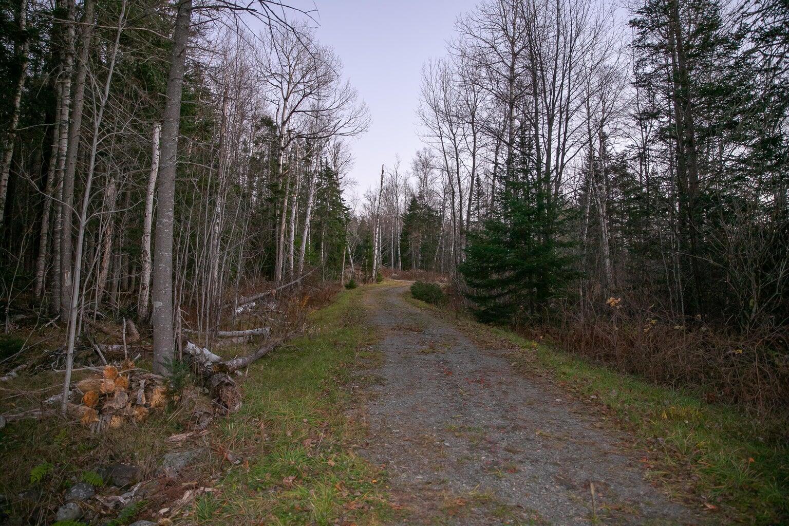 Lot 16 Mill Brook Road, Sandy River Plt, ME, 04970
