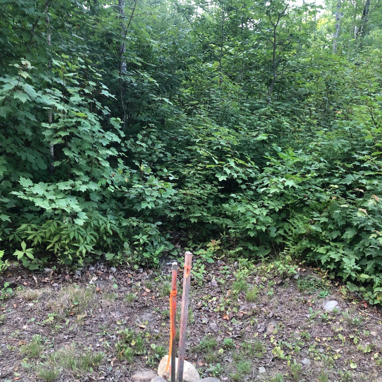 06 Swett Brook Lane, Weld, ME, 04285