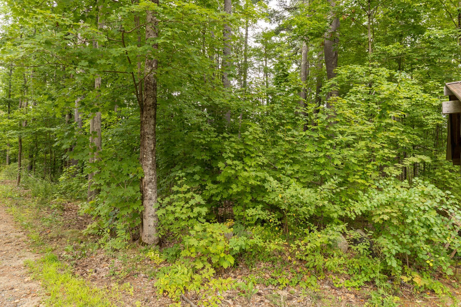 Lot UNIT&nbsp;5 Adams Bridge Road, North Berwick, ME, 03906