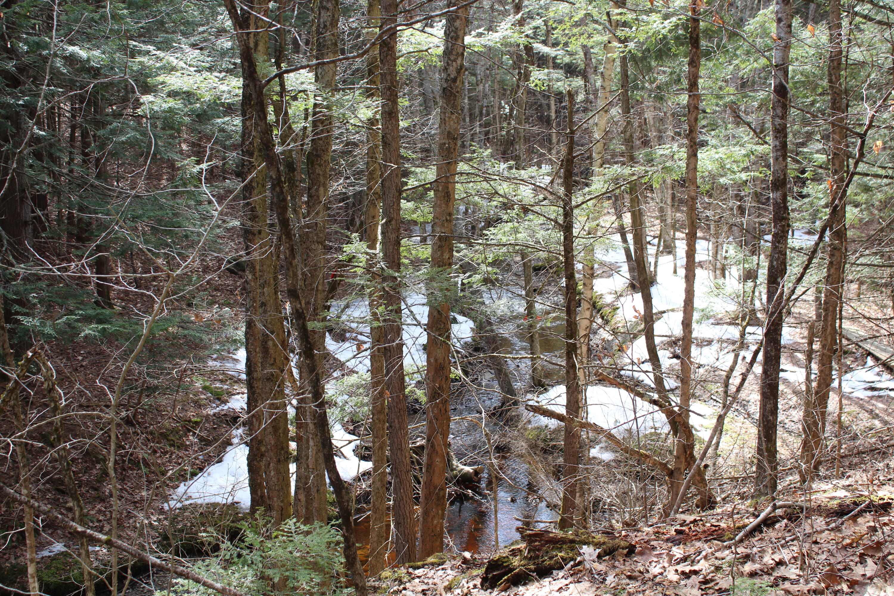 Lot 00E Knight Farm Road, Kennebunk, ME, 04043