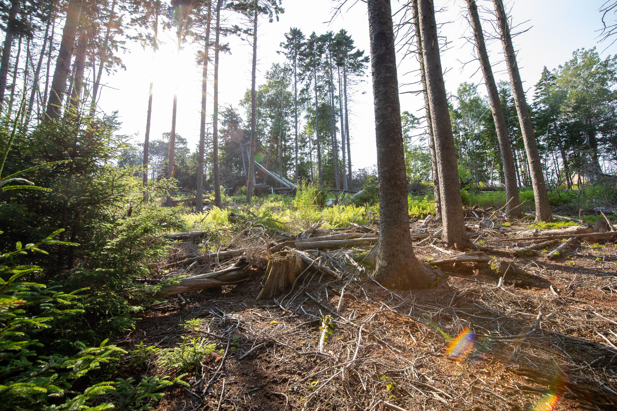 0 Bayview Road UNIT 2, Harpswell, ME, 04066