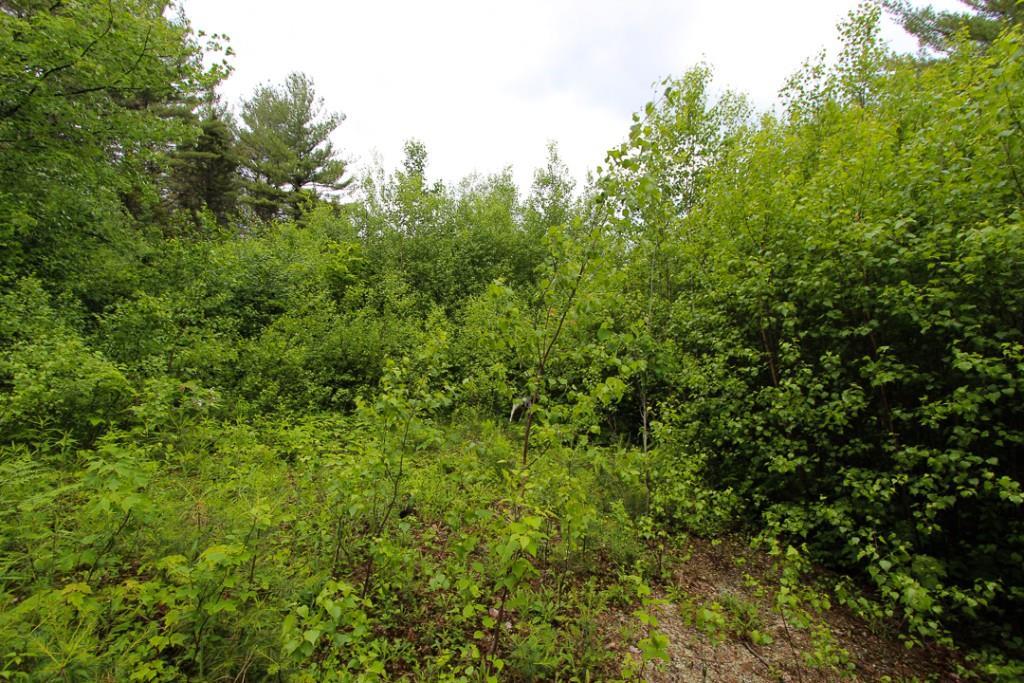 00 Cross Street, Greenwood, ME, 04255