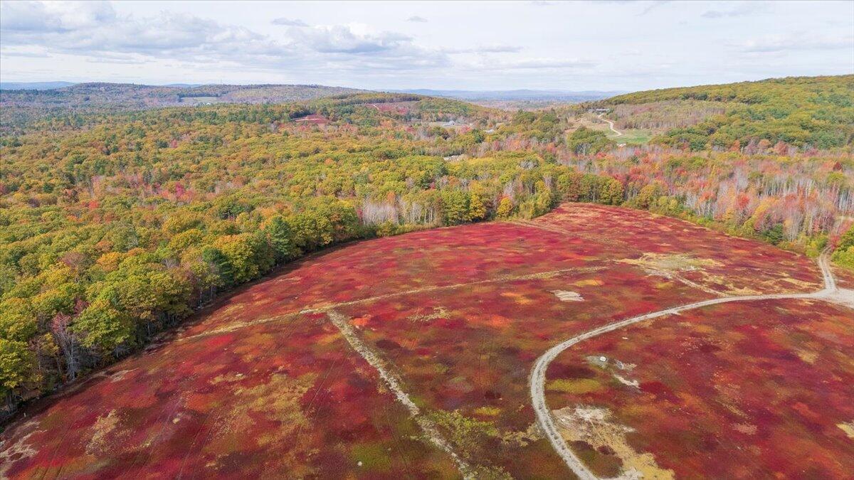 423 Beech Hill Road, Northport, ME, 04849