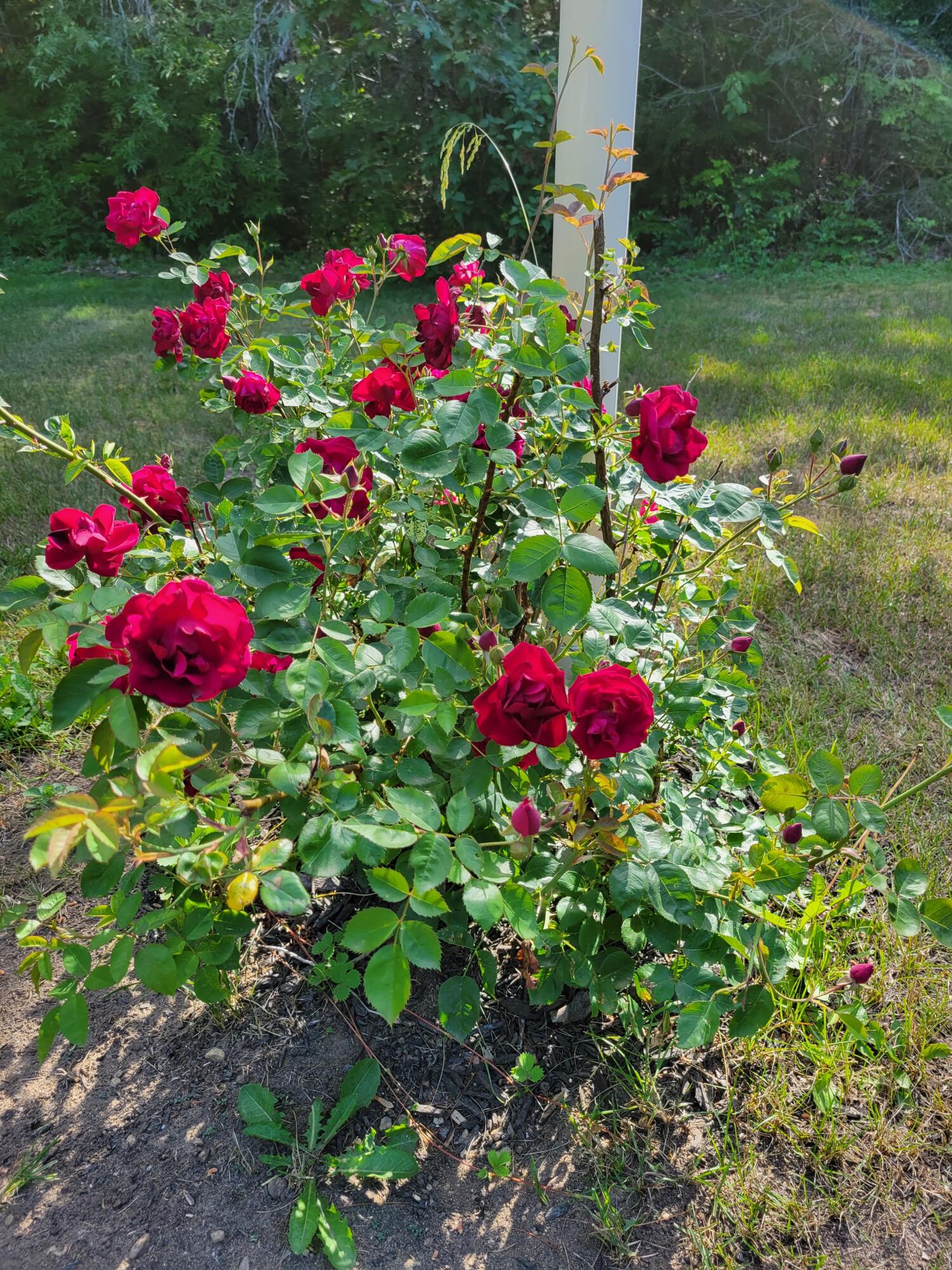 46 N Gorham Road, Gorham, ME, 04038