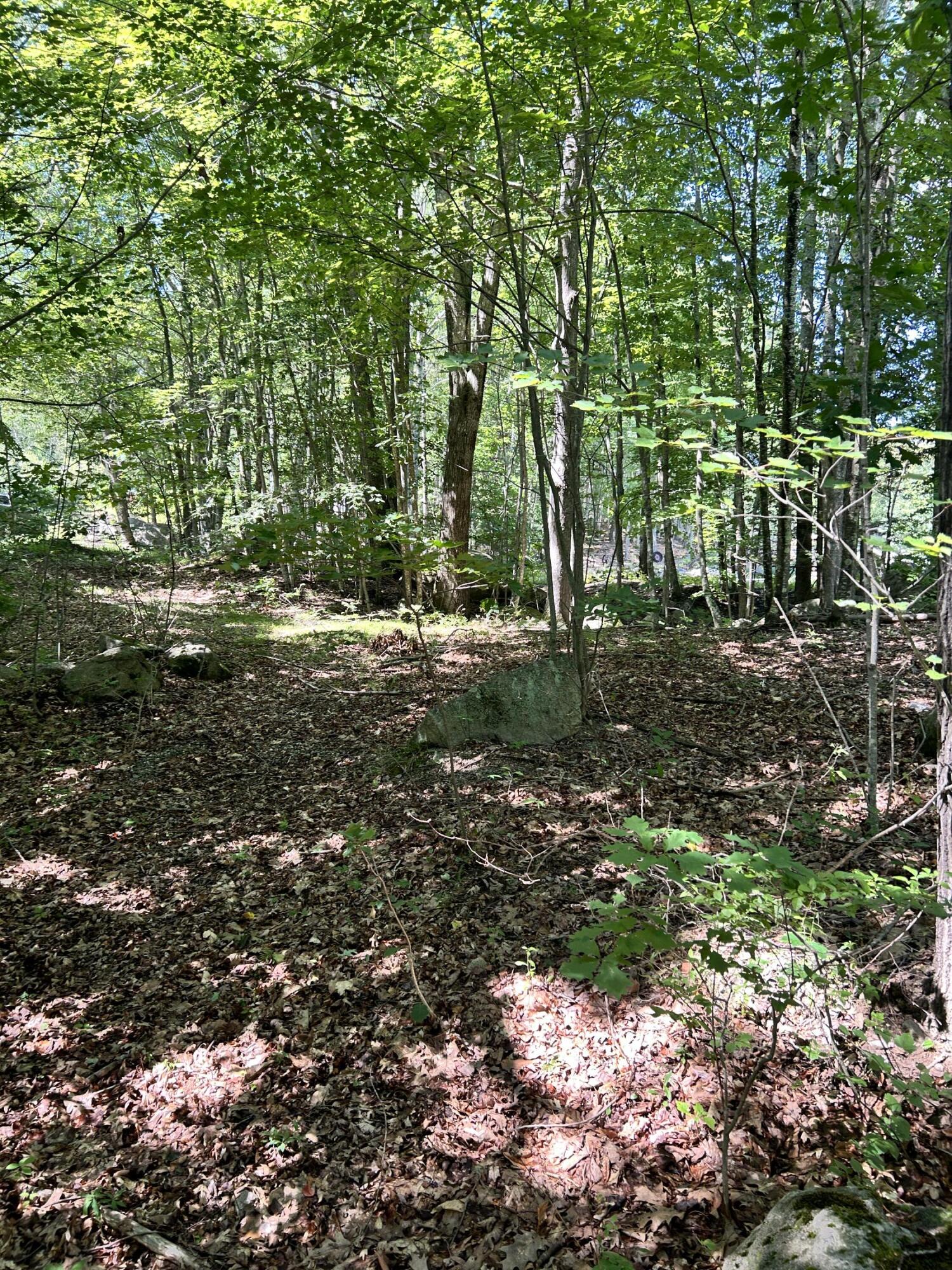 Photo of 0 Poor Farm Road Lyman ME 04002