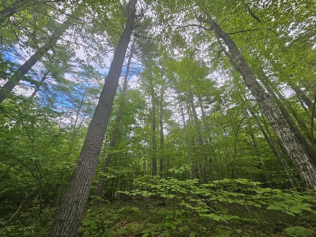 M10L44 Mountain View Road, Fryeburg, ME, 04037