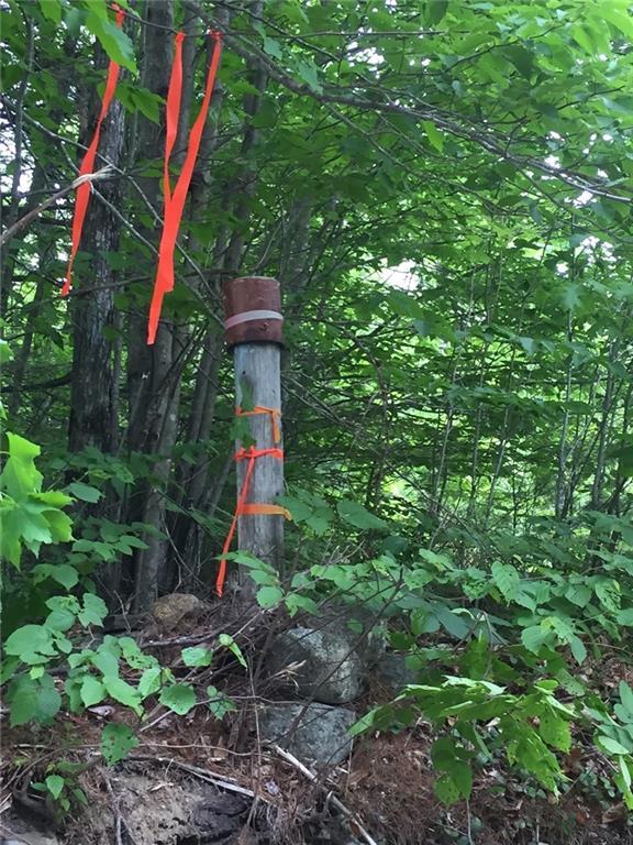 0 Richardson Hollow & Young Hill Road, Greenwood, ME, 04255