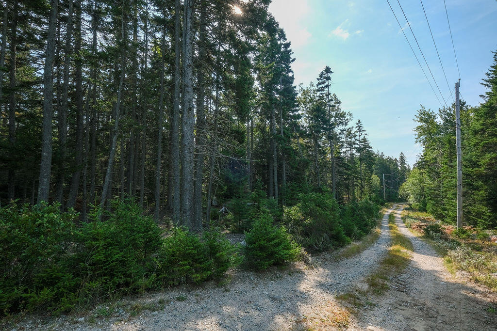 12-1 S Burnt Cove Road, Stonington, ME, 04681