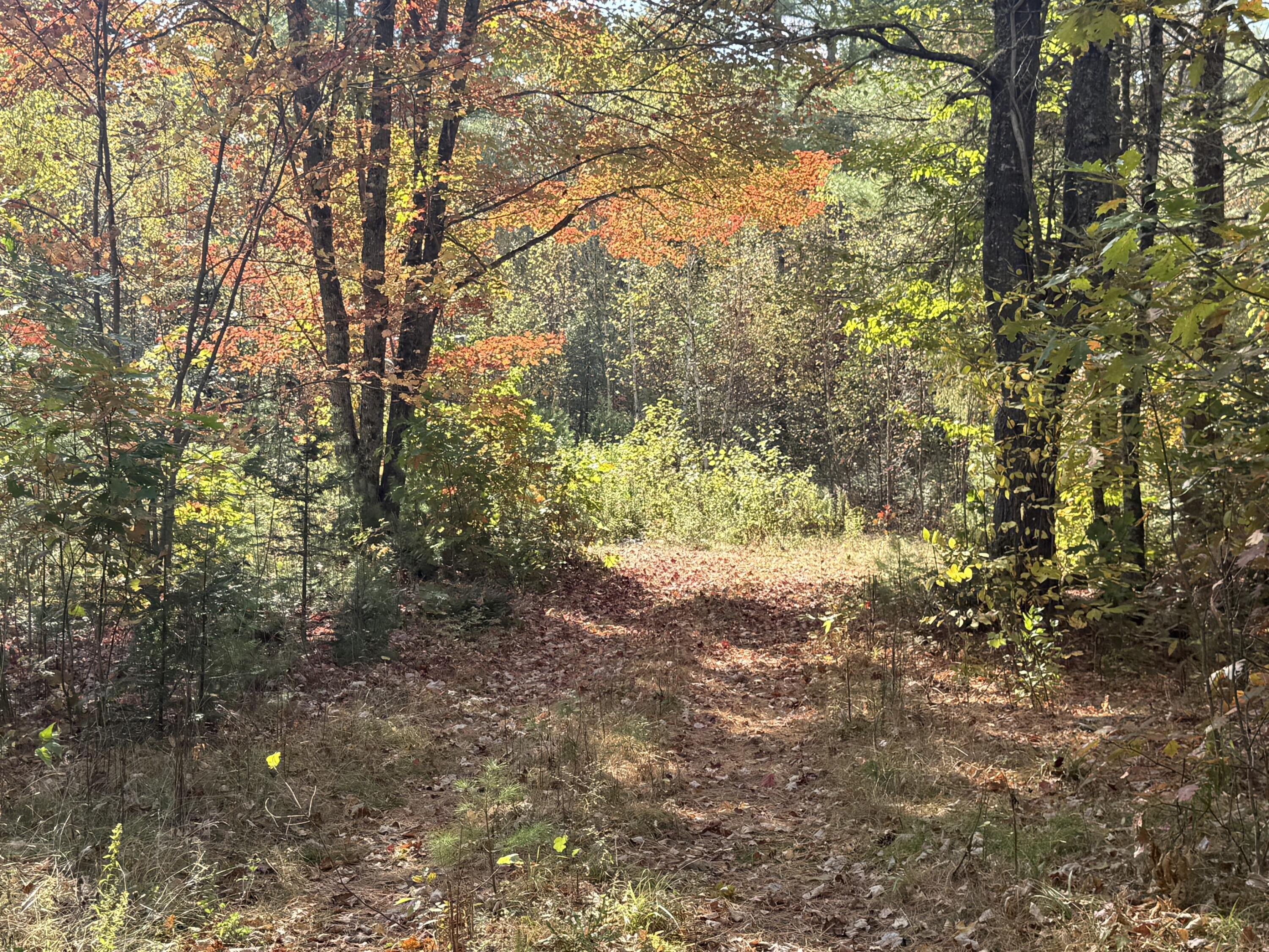 Off Andrews Road, Drew Plt, ME, 04497