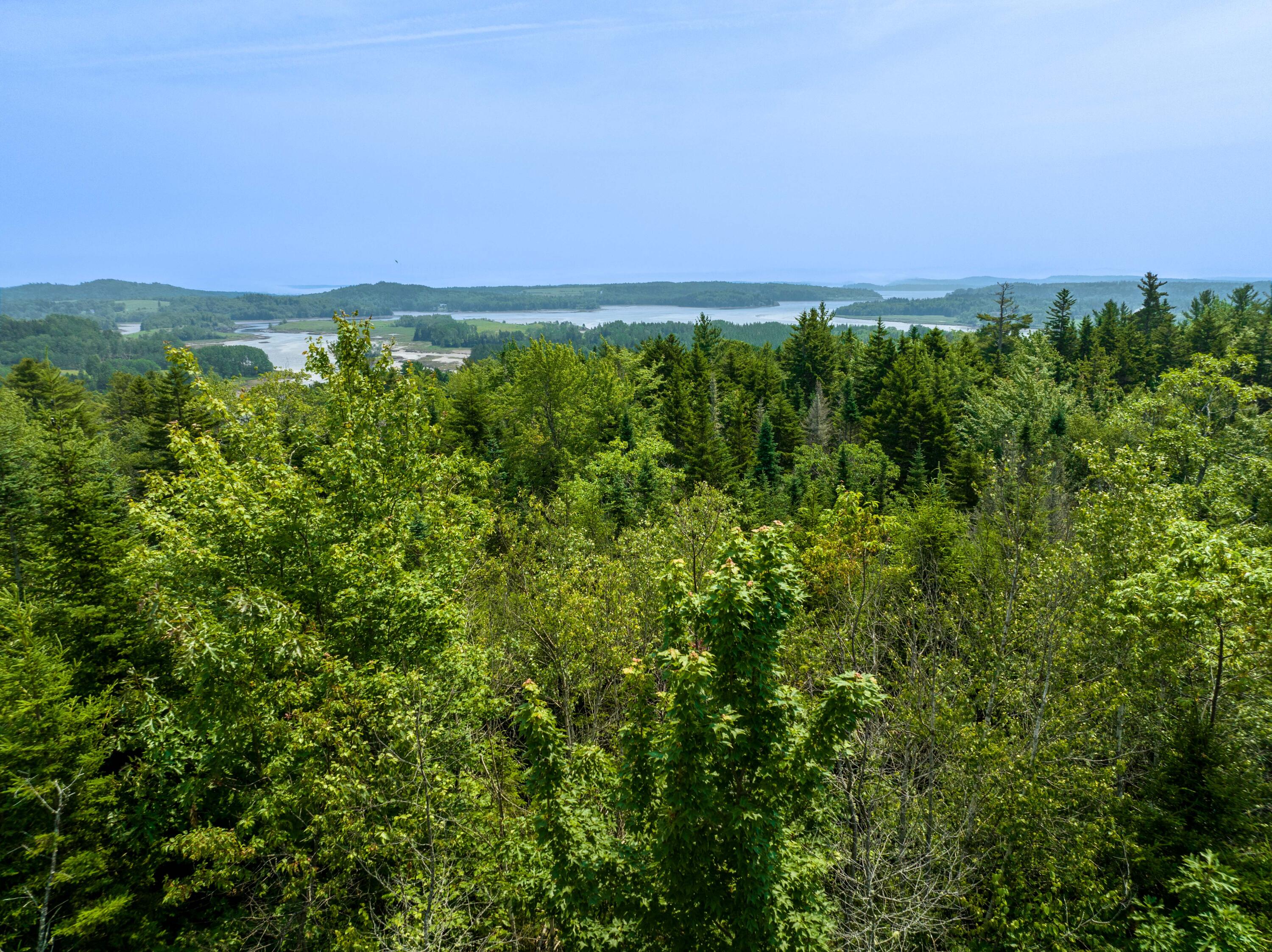 65 Lookout Mountain Road, East Machias, ME, 04630