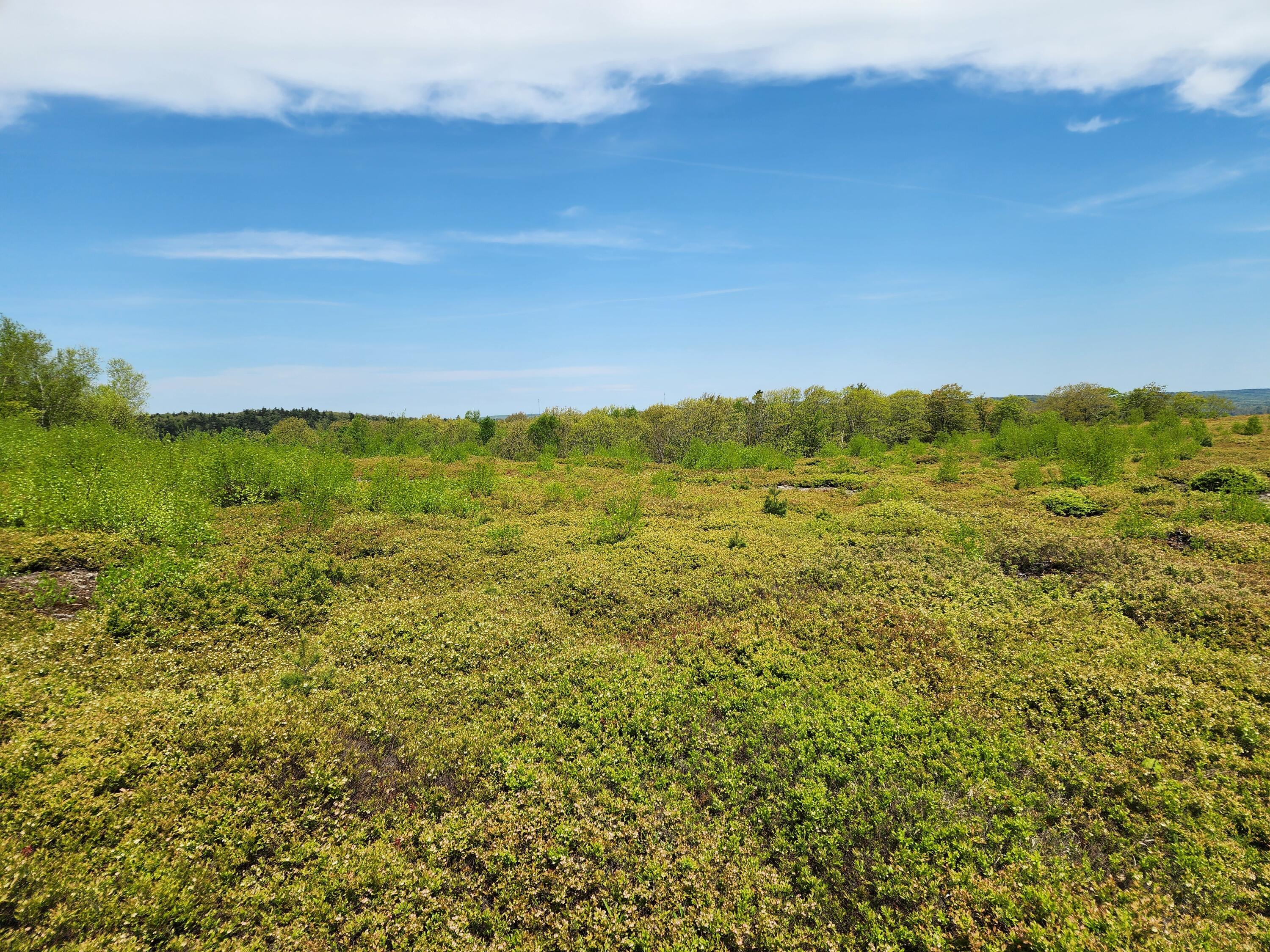 3 Whispering Berries Hill, Liberty, ME, 04949