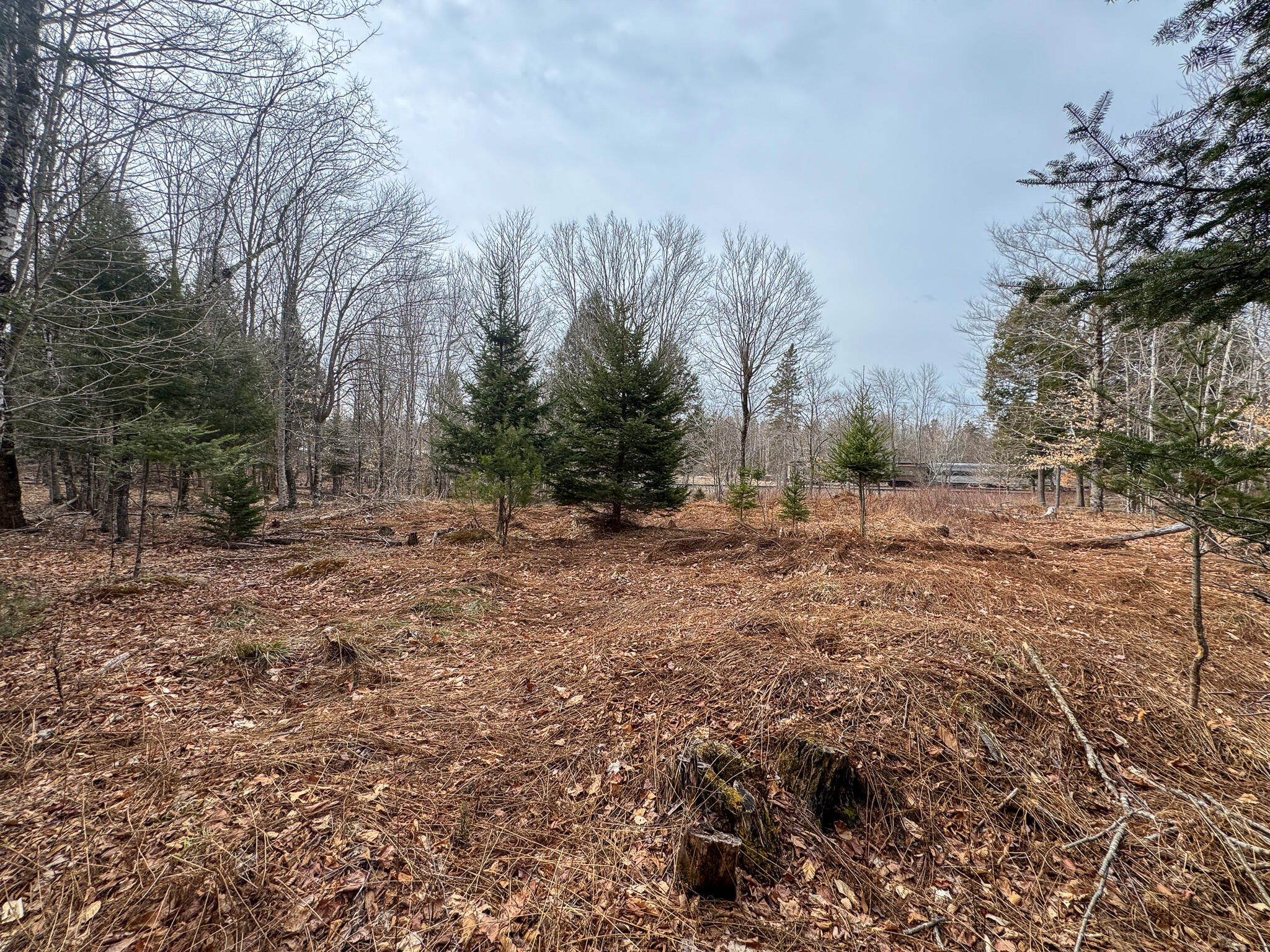 M11L10 Off Gordon Hill Road, Thorndike, ME, 04986