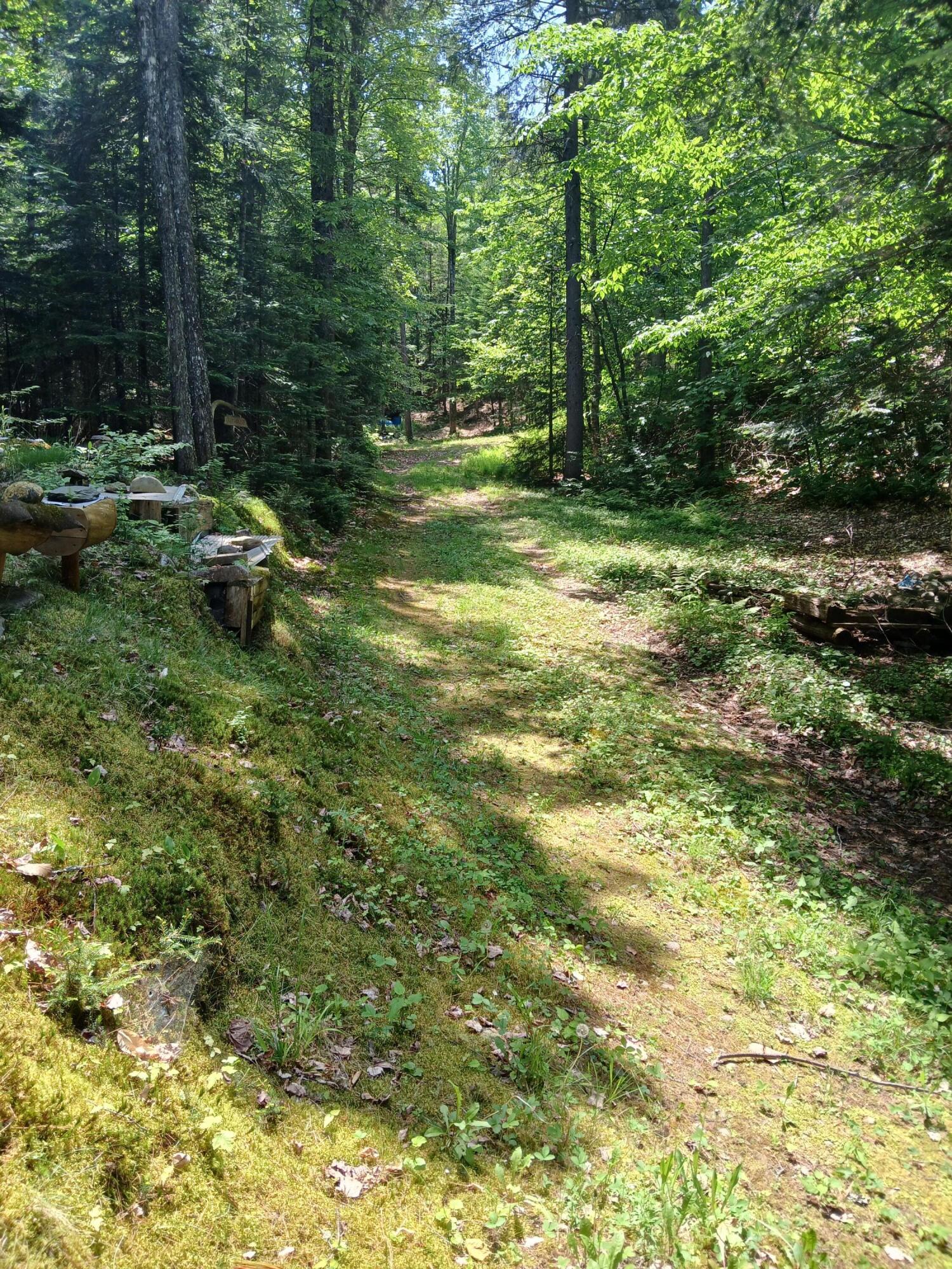 Lot UNIT&nbsp;16.2 Lane Pond Road, Carrying Place Town Twp, ME, 04961