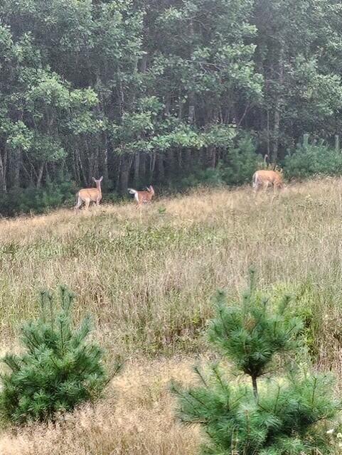 38 Kuvaja Road, Greenwood, ME, 04255