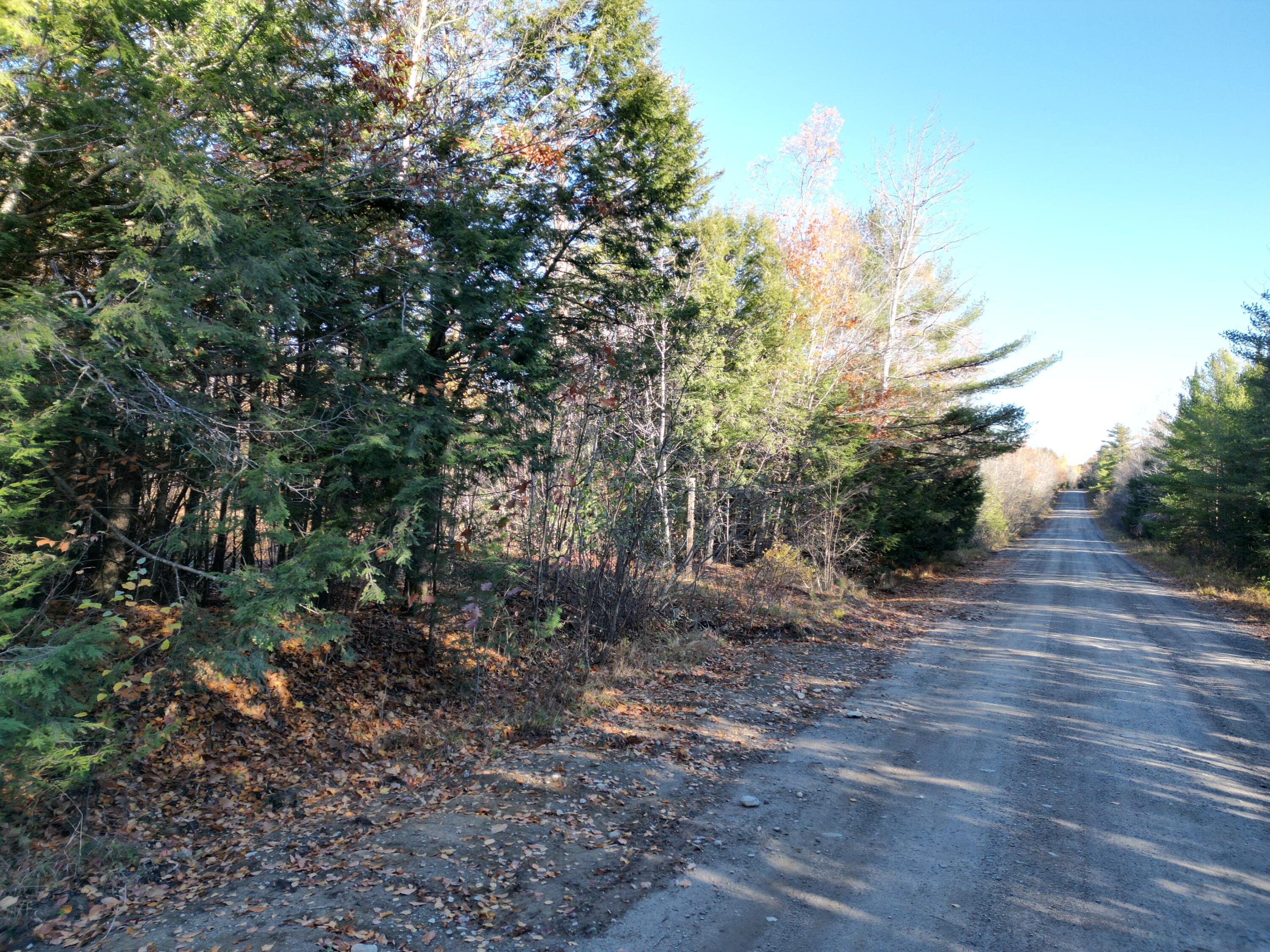 Lot 18-1 Mattamiscontis Road, Howland, ME, 04448