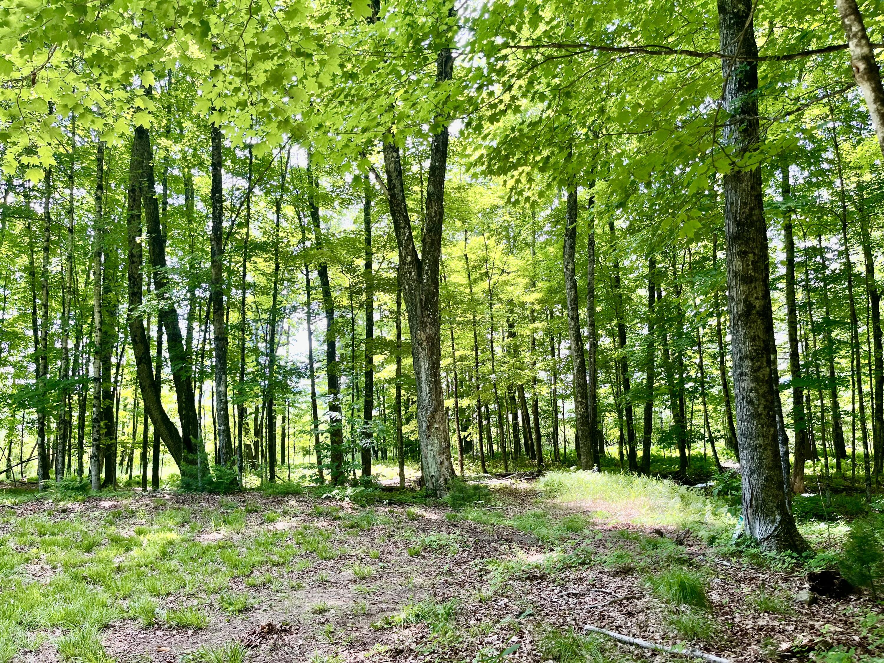 Looking out towards Moose Pond