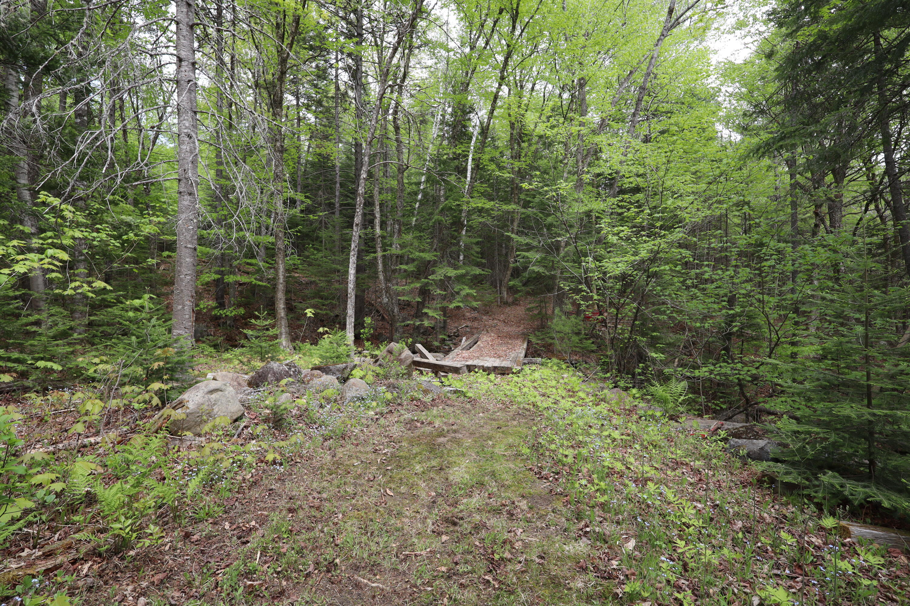 198 Scammon Road, Greenville, ME 04441 IMG_2322