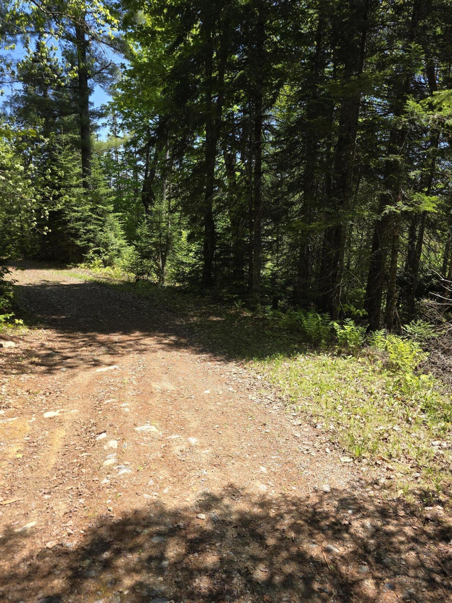 P 8 L 4 Prescott Pond Rd., Moxie Gore, ME 04985 13889