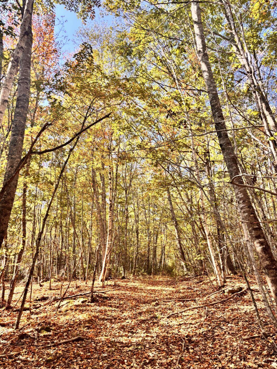 150 Bowden Point Road, Prospect, ME, 04981