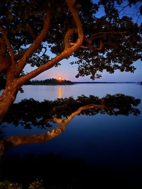 71 Merganser Way, Freeport, ME, 04032