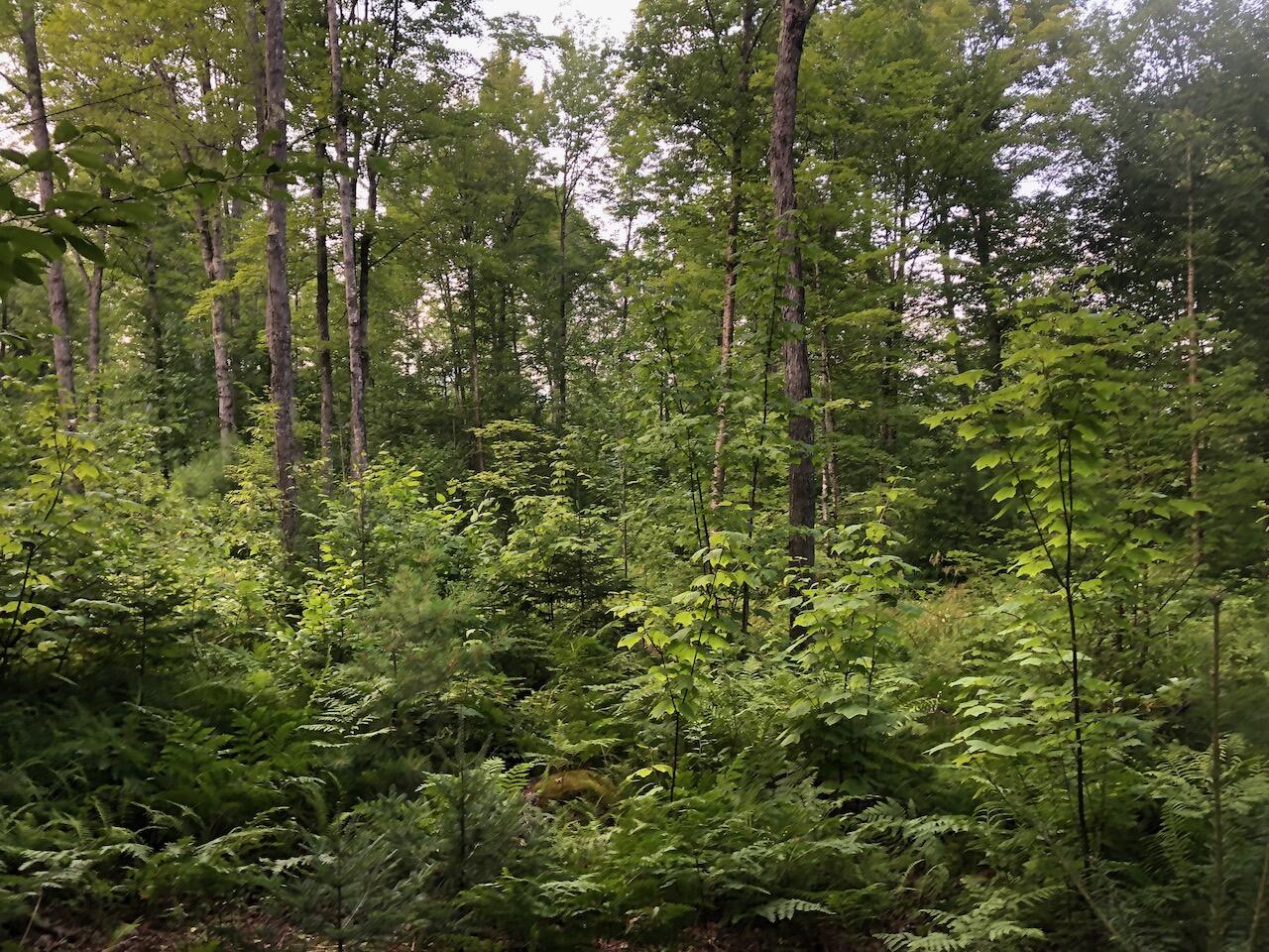 06 Swett Brook Lane, Weld, ME, 04285