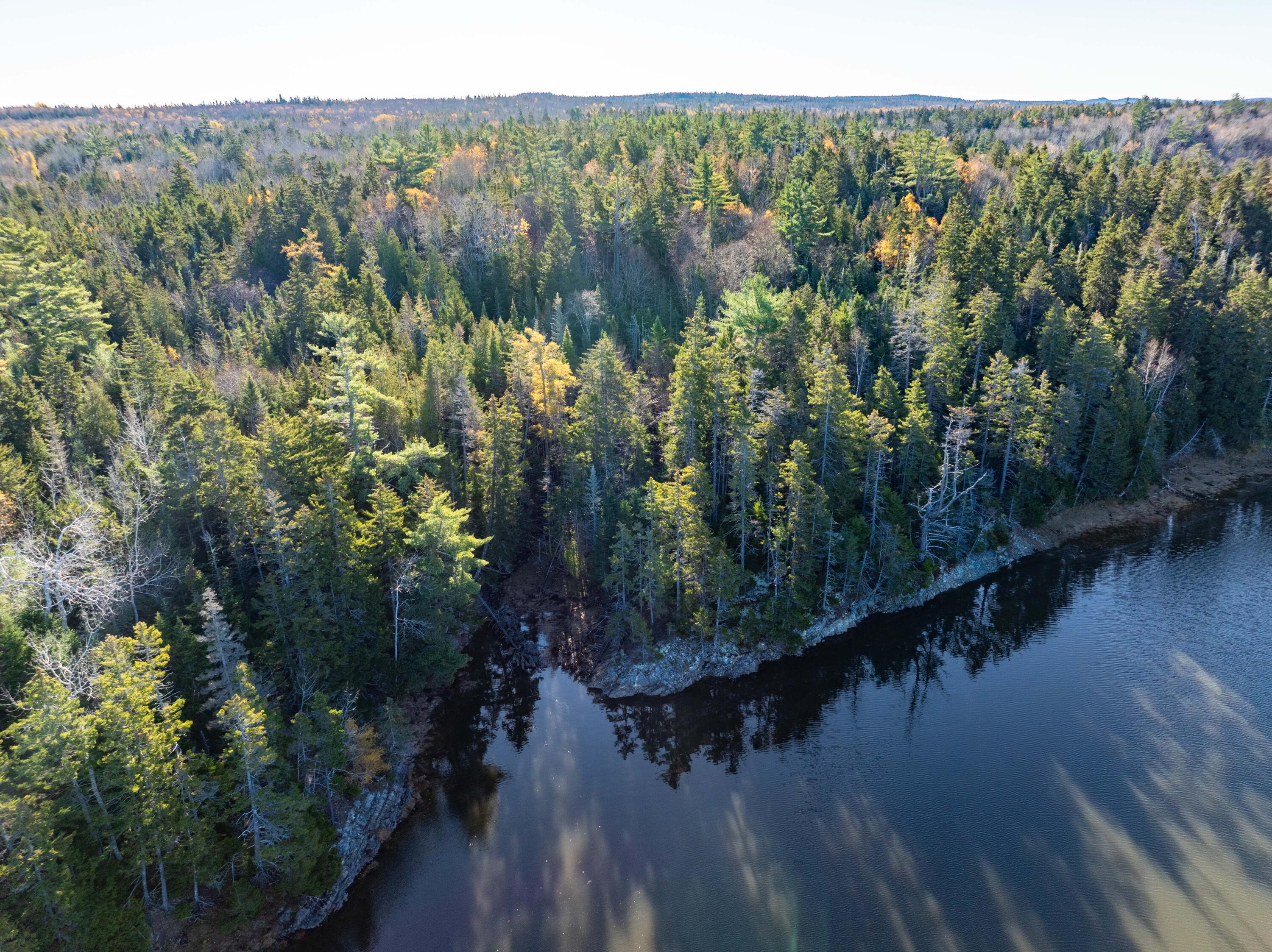 01-4 WA035, Trescott Twp, ME, 04652