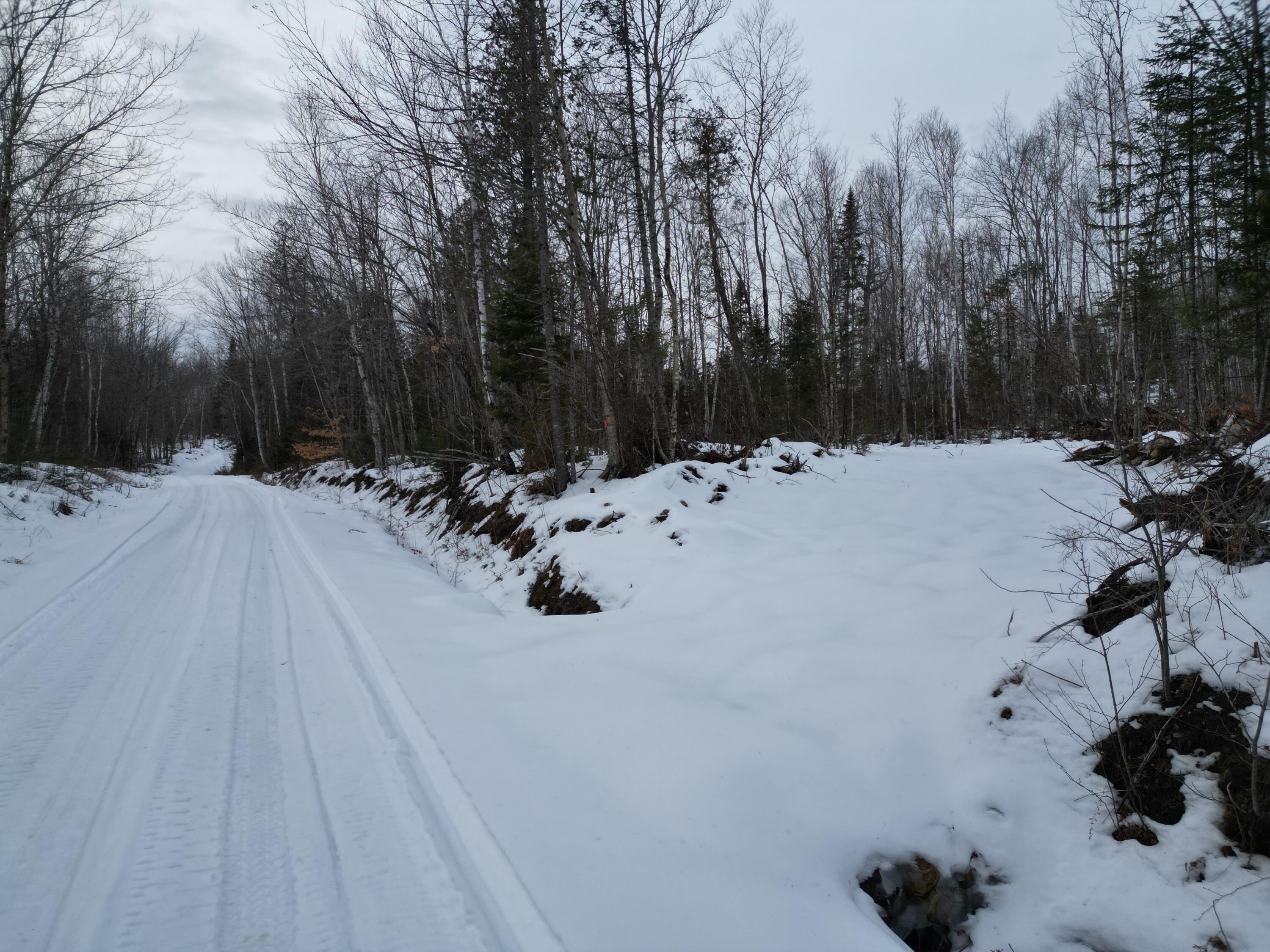 Lot 1 Moores Road, Springfield, ME, 04487