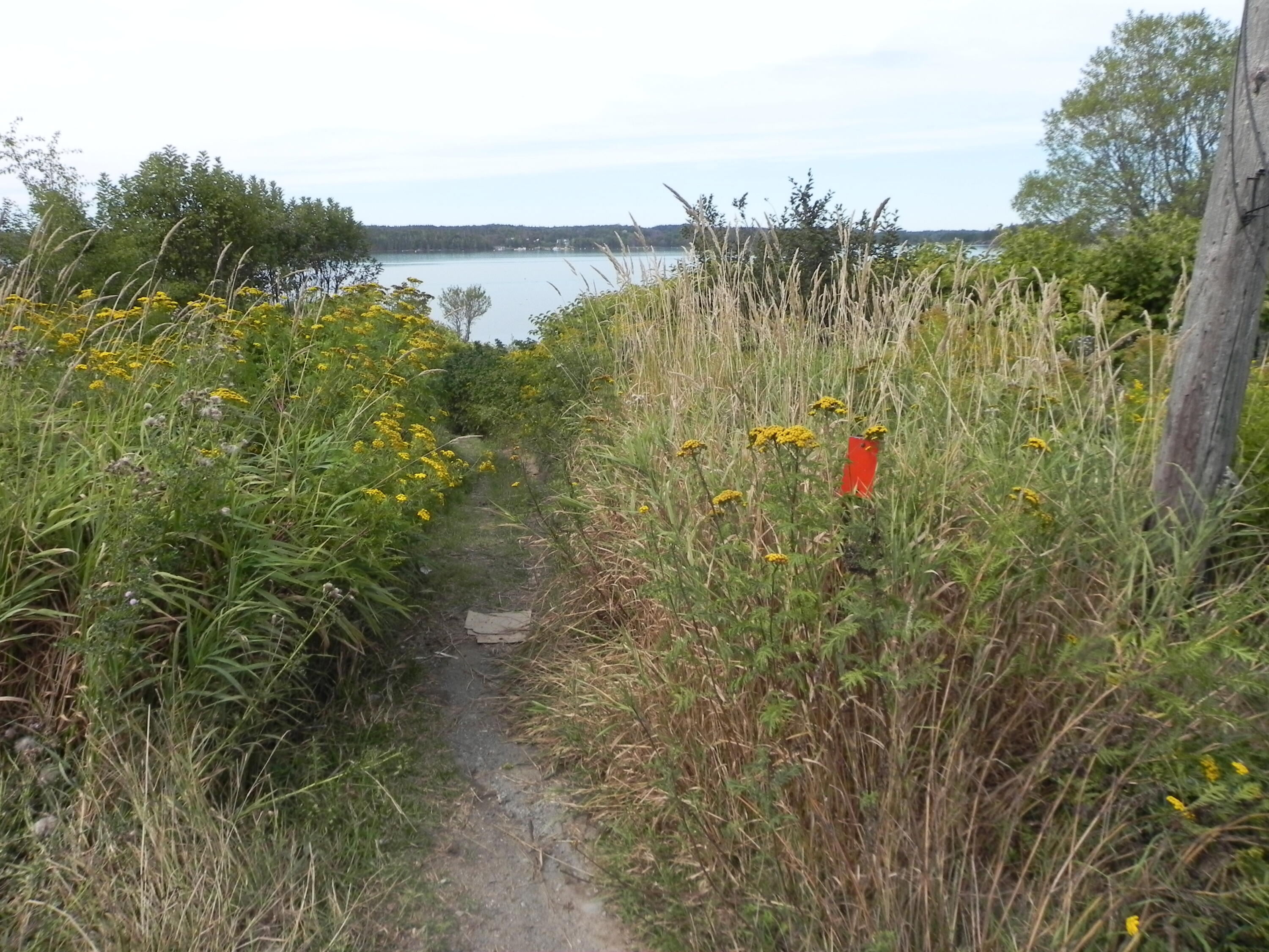 225 County Road, Lubec, ME, 04652