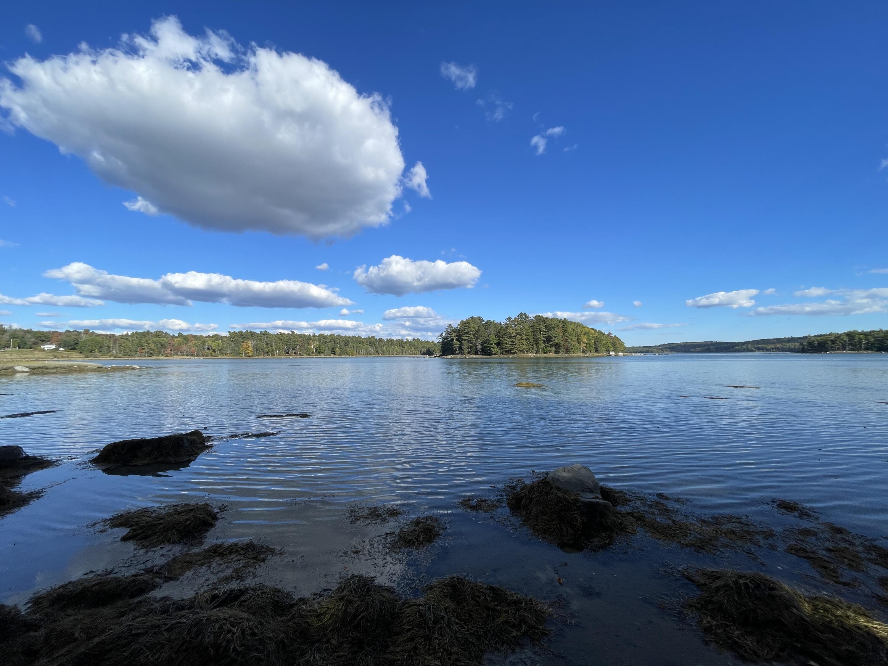 Photo of 42 Dwelly Point Road Franklin ME 04634