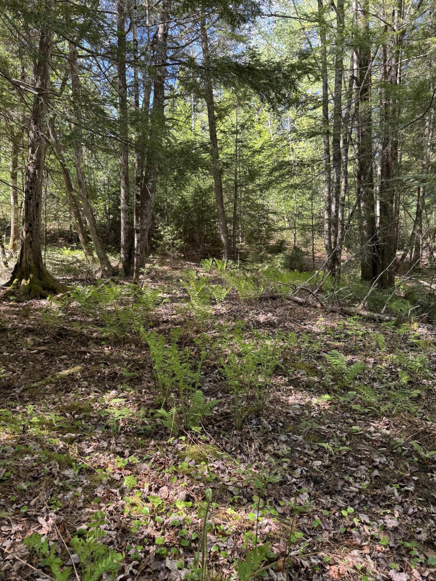 property-listing-images