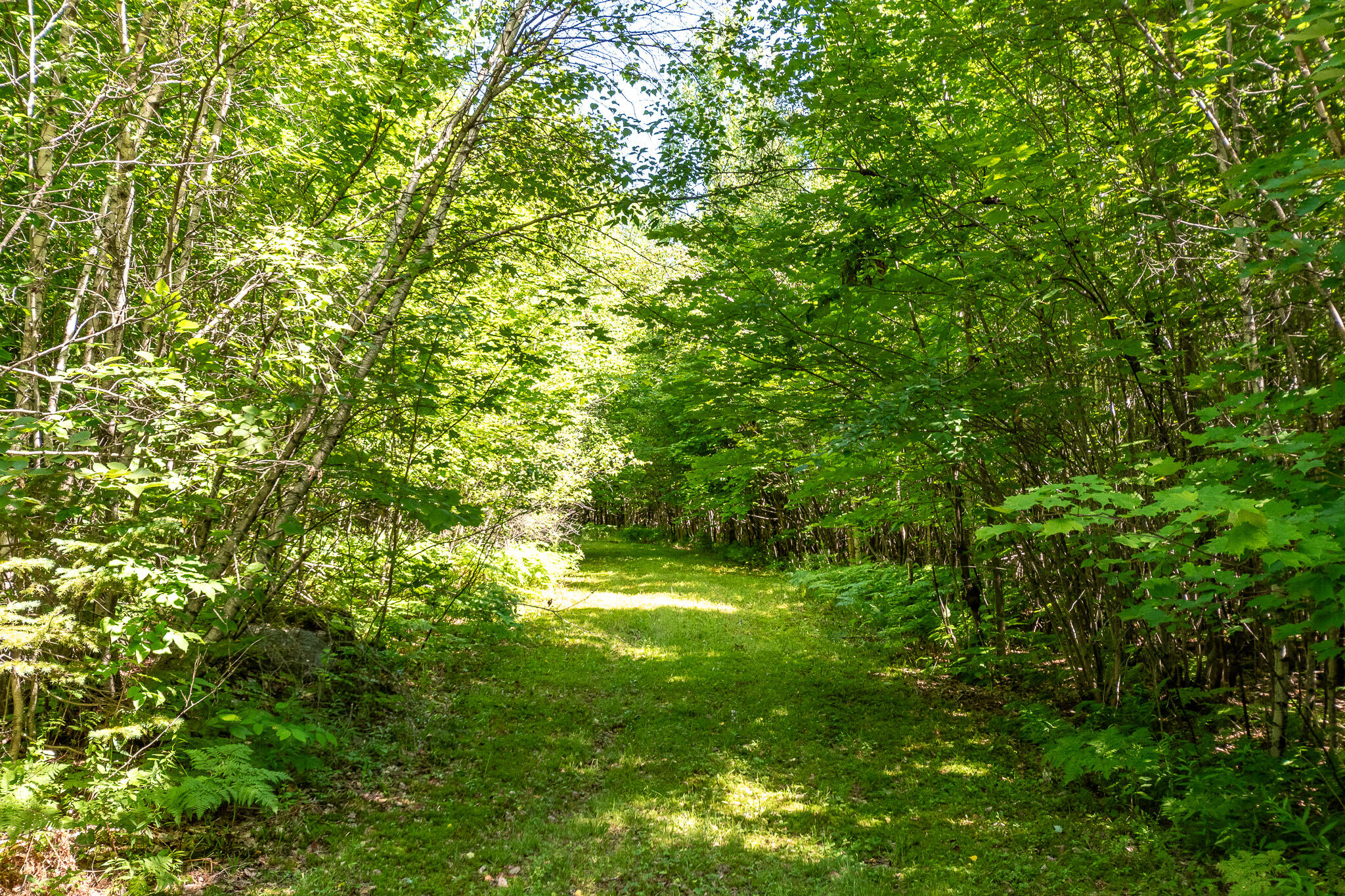 Lot 18-5 Woodland Lane, #Map 2, Brownville, ME 04414 DSC_0274