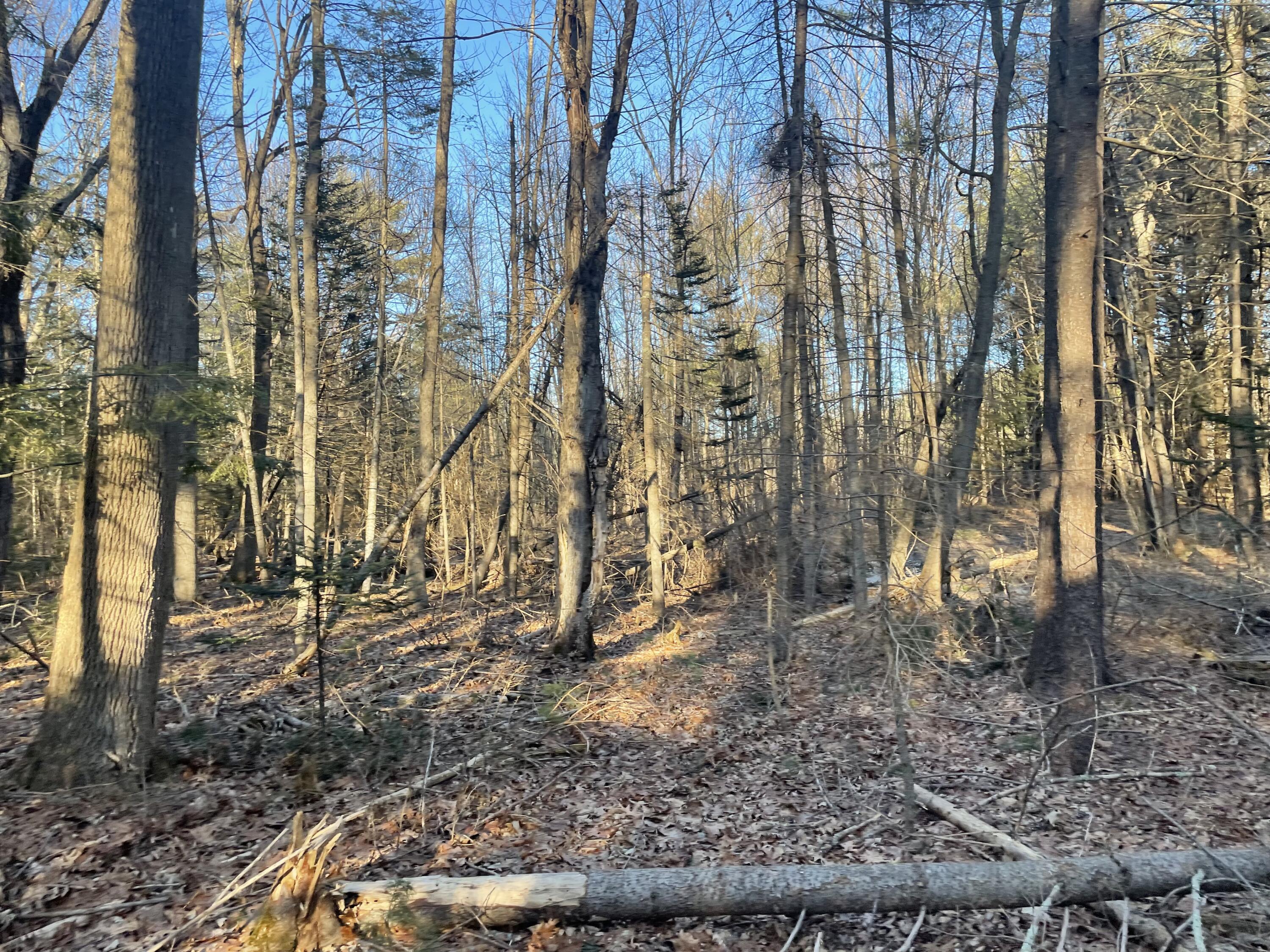 0 Cross Street, Manchester, ME, 04351