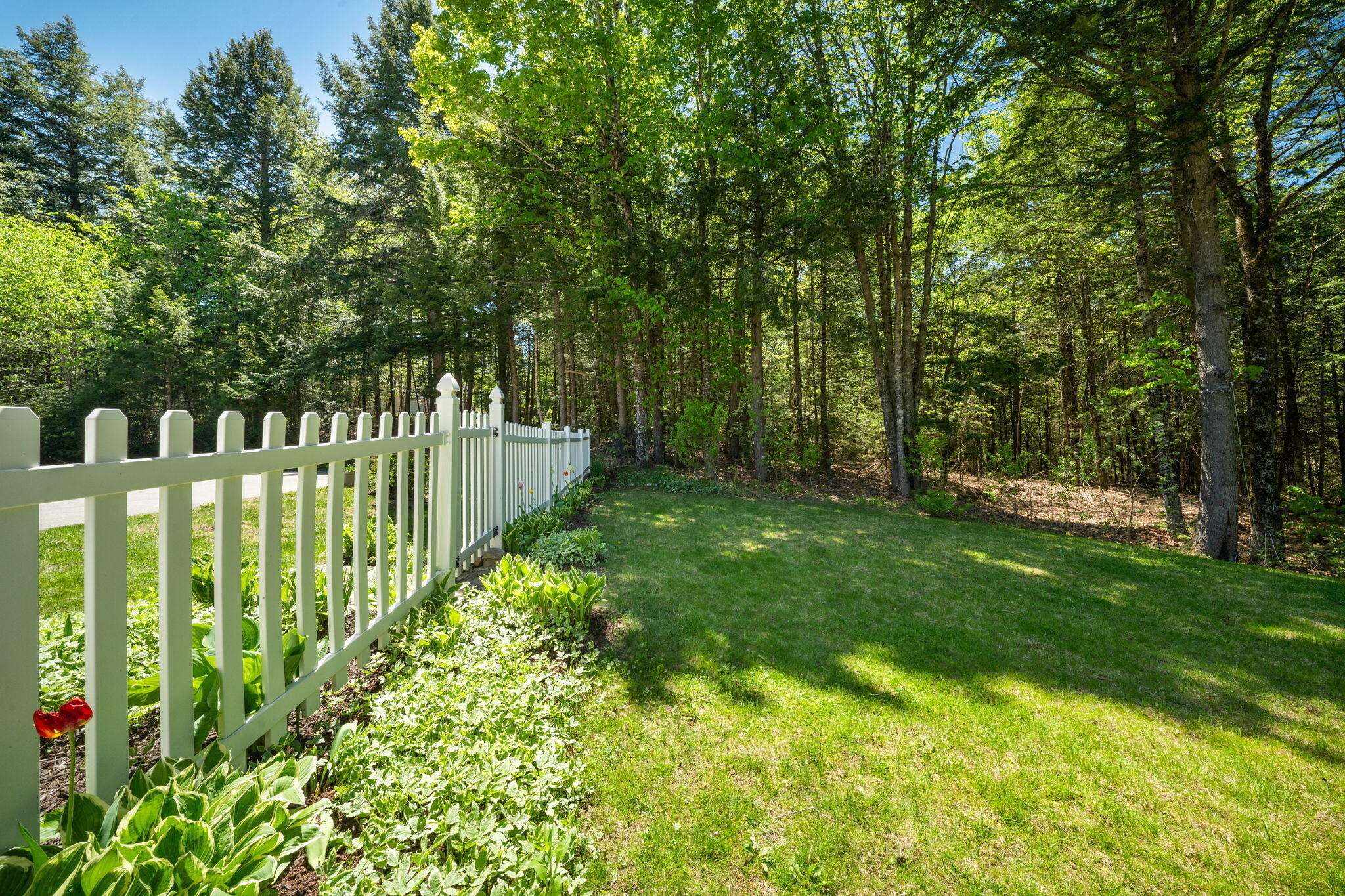 Fenced in backyard