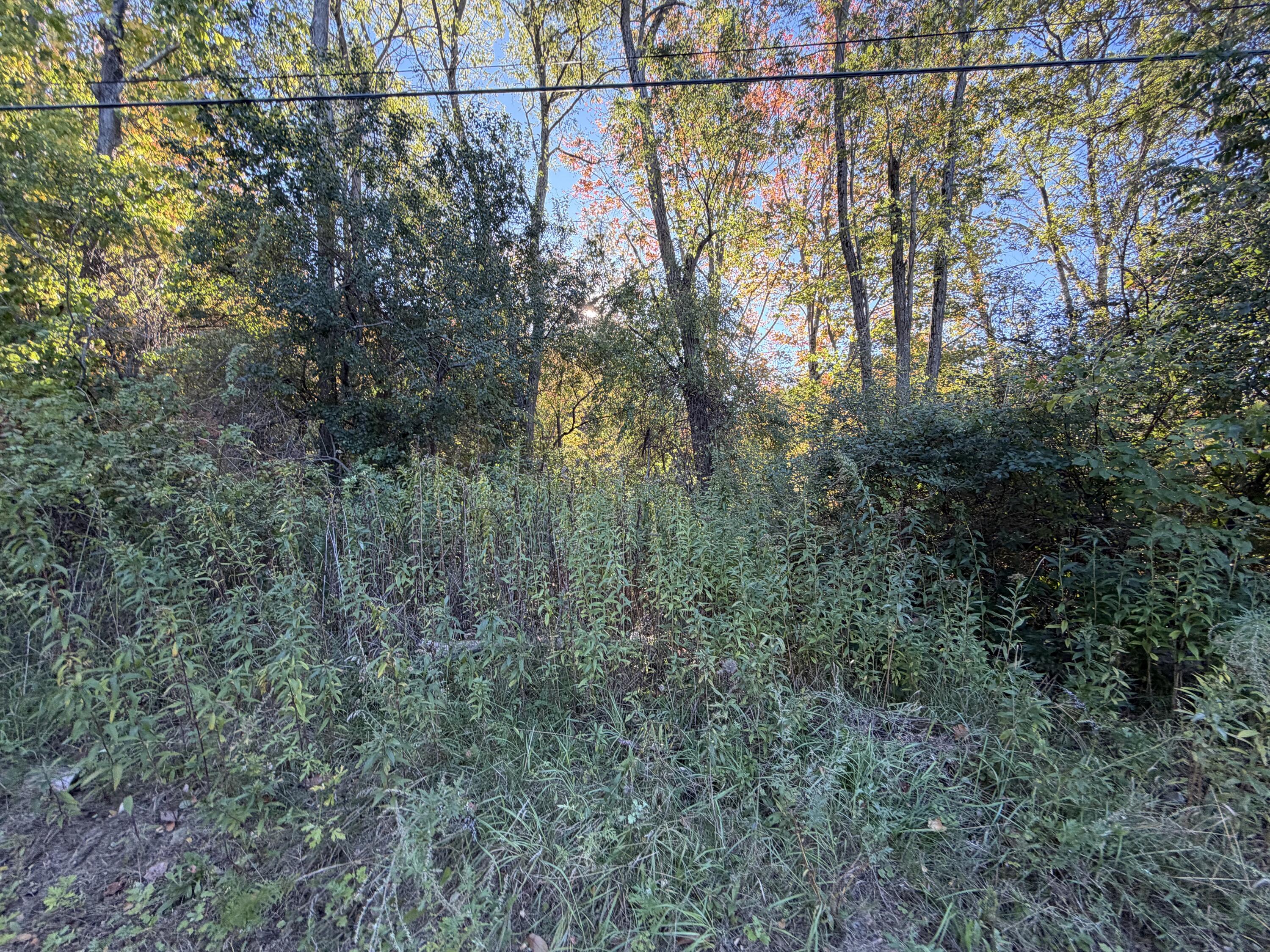 73 Gertrude Avenue, Portland, ME 04103 Land view