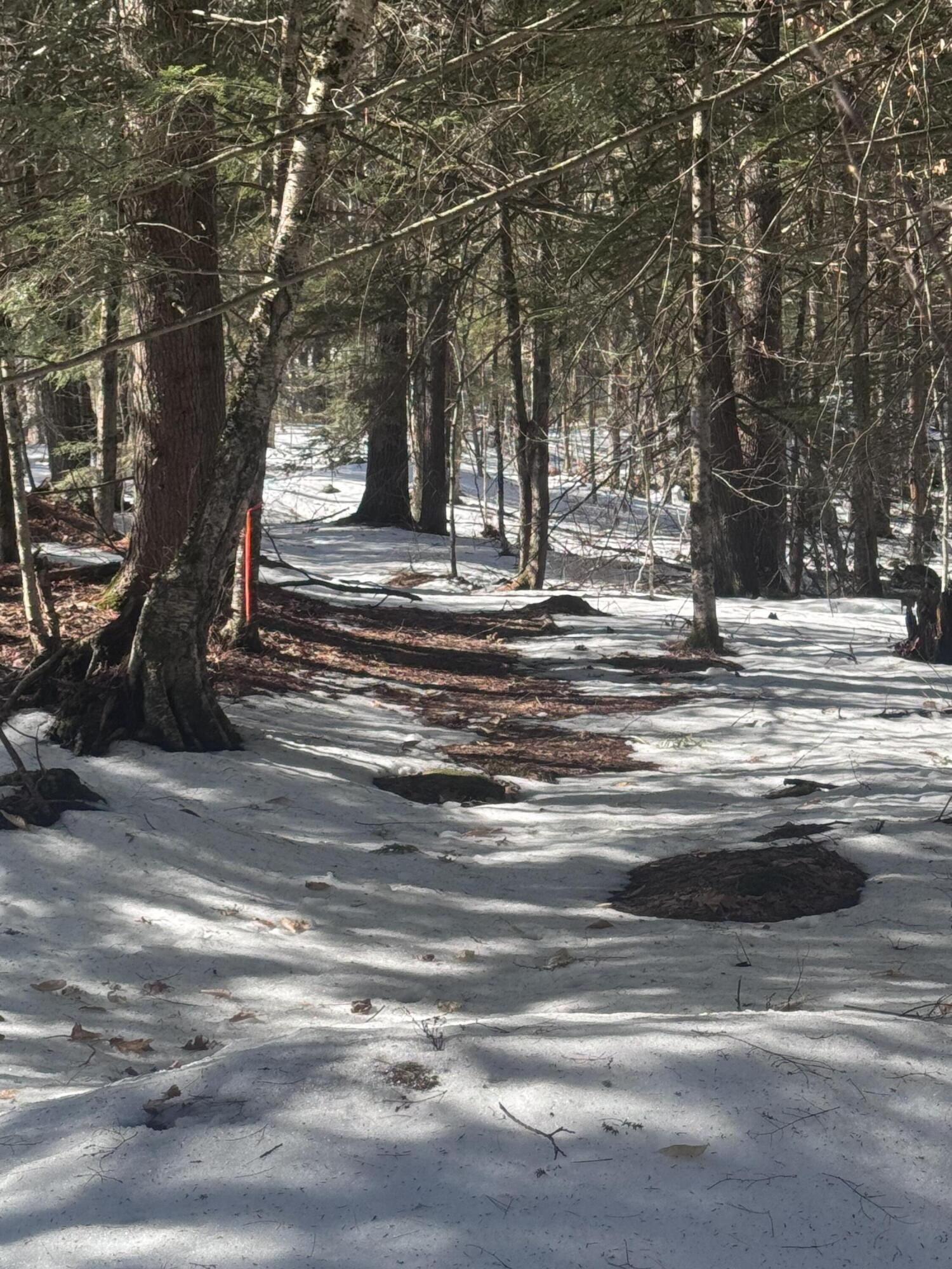 533 Mount Ephraim Map 4 Lot 63 Road, Searsport, ME, 04974