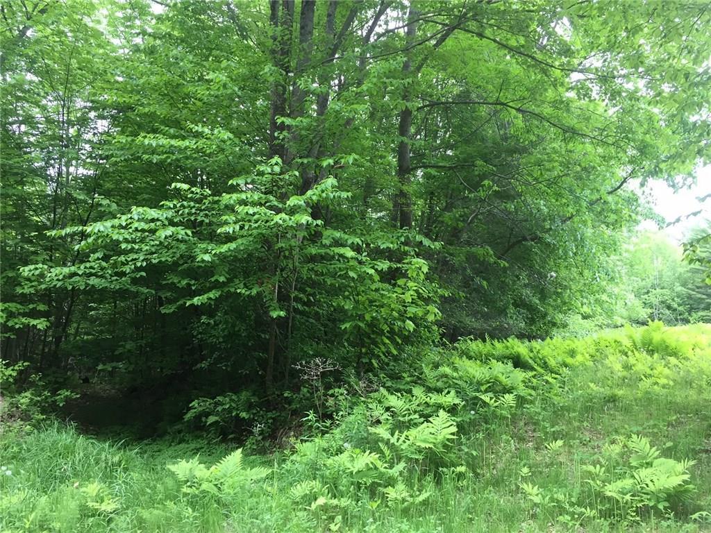 0 Richardson Hollow & Young Hill Road, Greenwood, ME, 04255