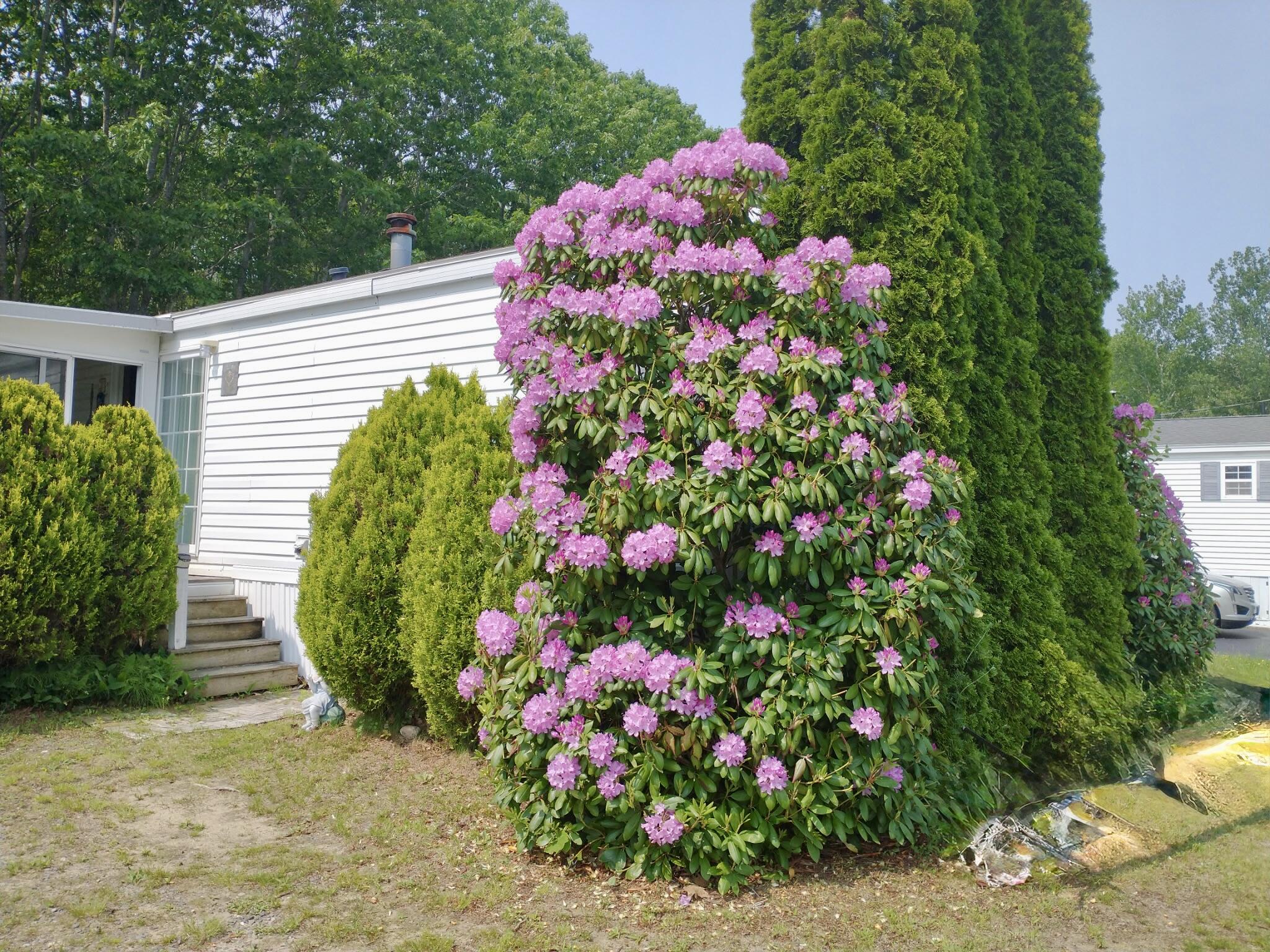 68 Poplar Park Drive, Wells, ME, 04090