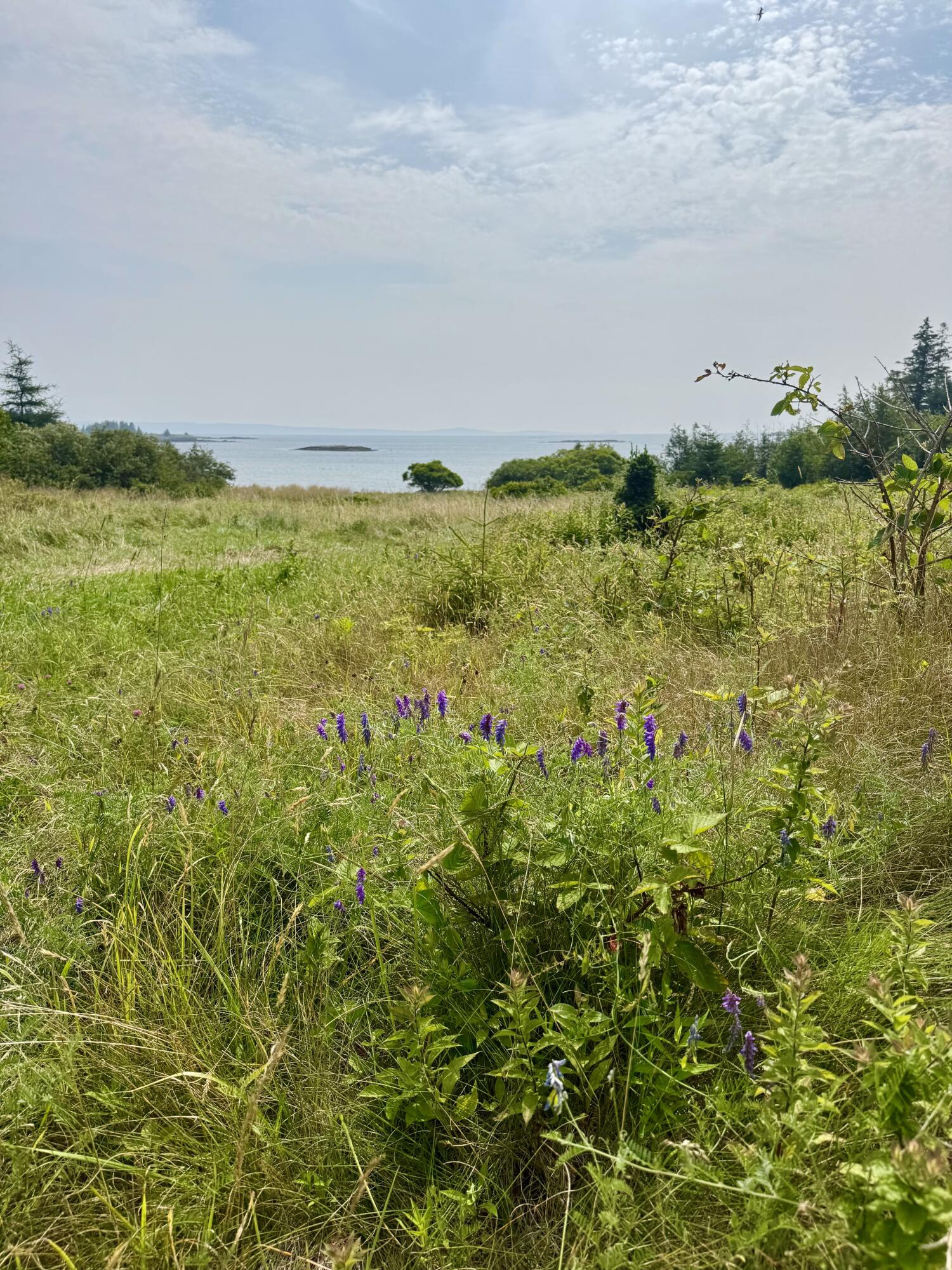 Lot UNIT&nbsp;5 George Wright Road, Vinalhaven, ME, 04863