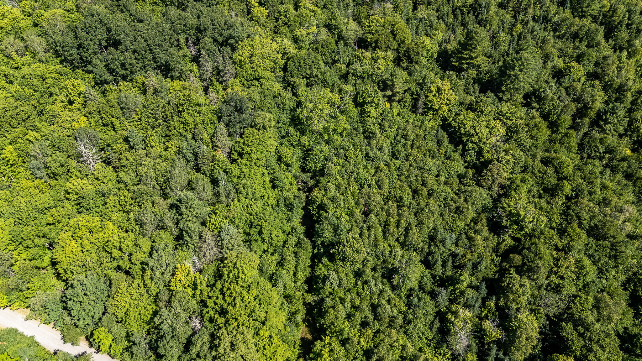 Lot 18-5 Woodland Lane, #Map 2, Brownville, ME 04414 DJI_20260720102425_0122_D