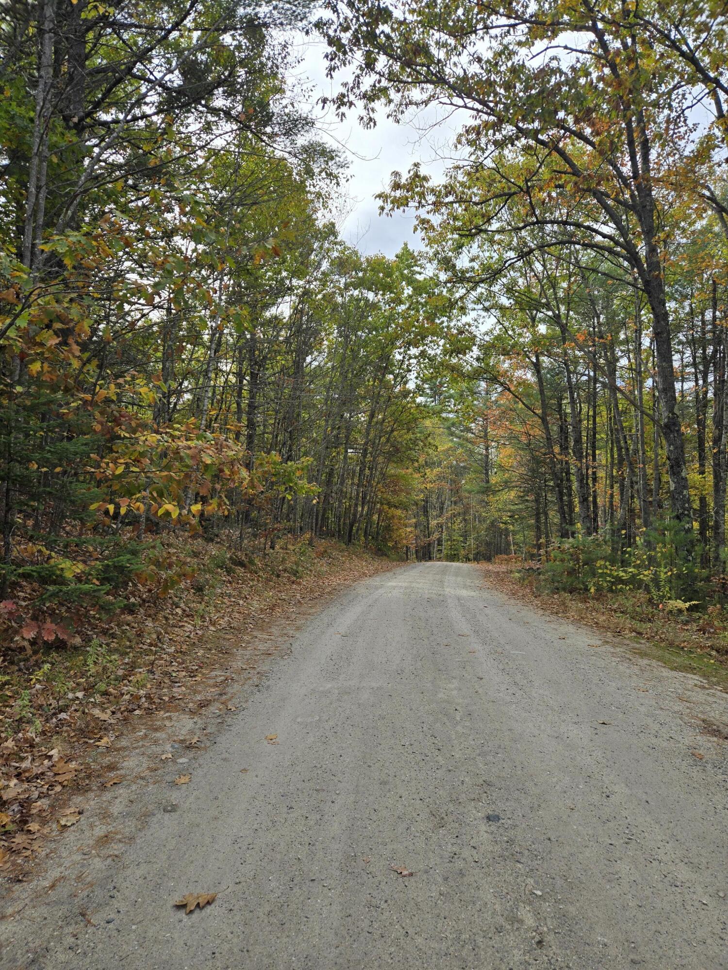 133 Plantation Lane, Brownfield, ME, 04010