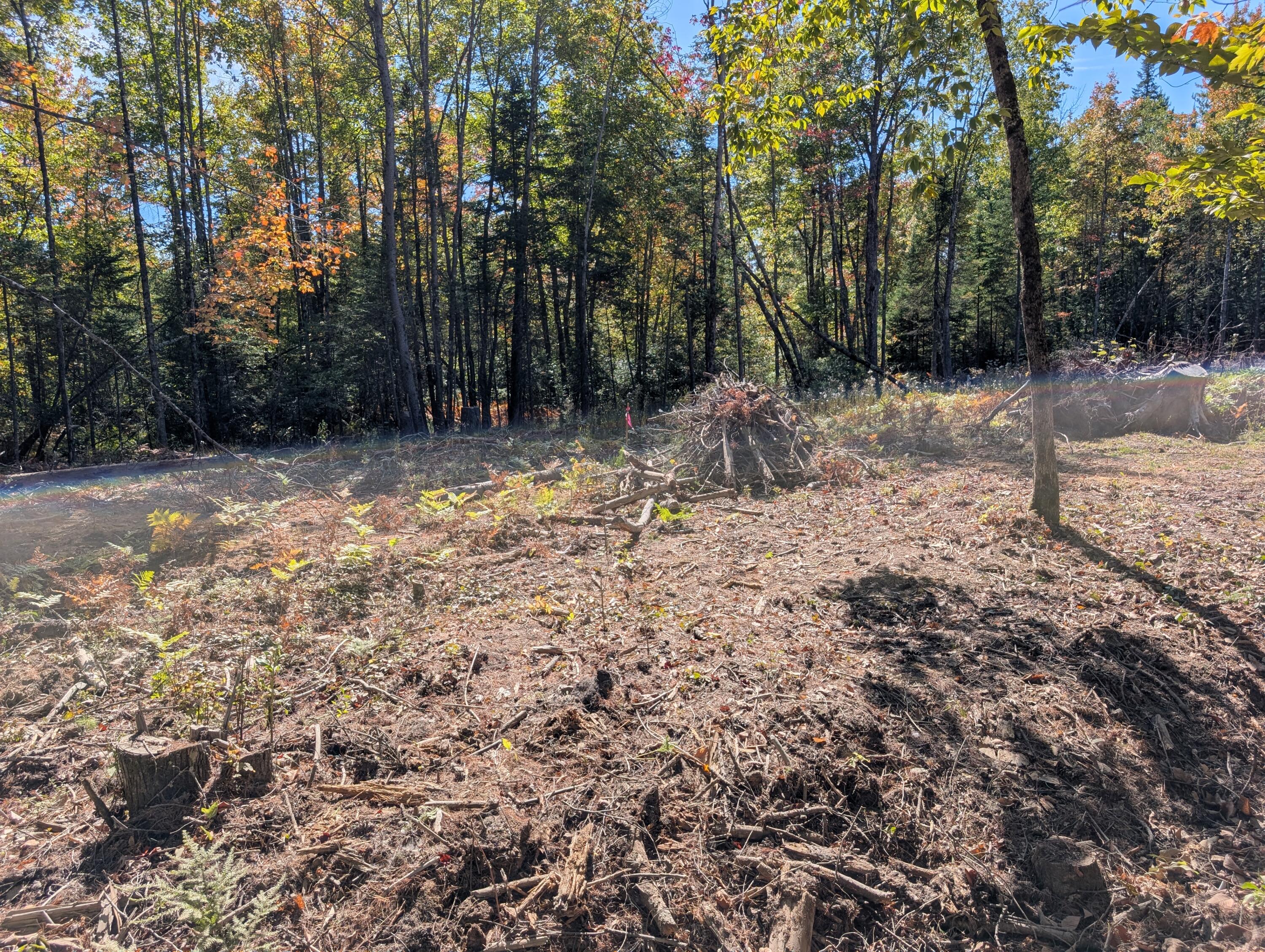 MR11 Lot40 Yeaton Swamp Road, Oxford, ME, 04270