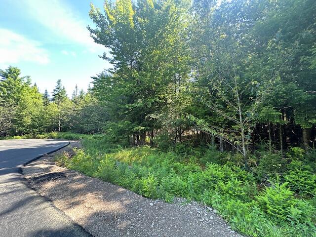 Lot UNIT&nbsp;5 Bonnie Way, Winterport, ME, 04496